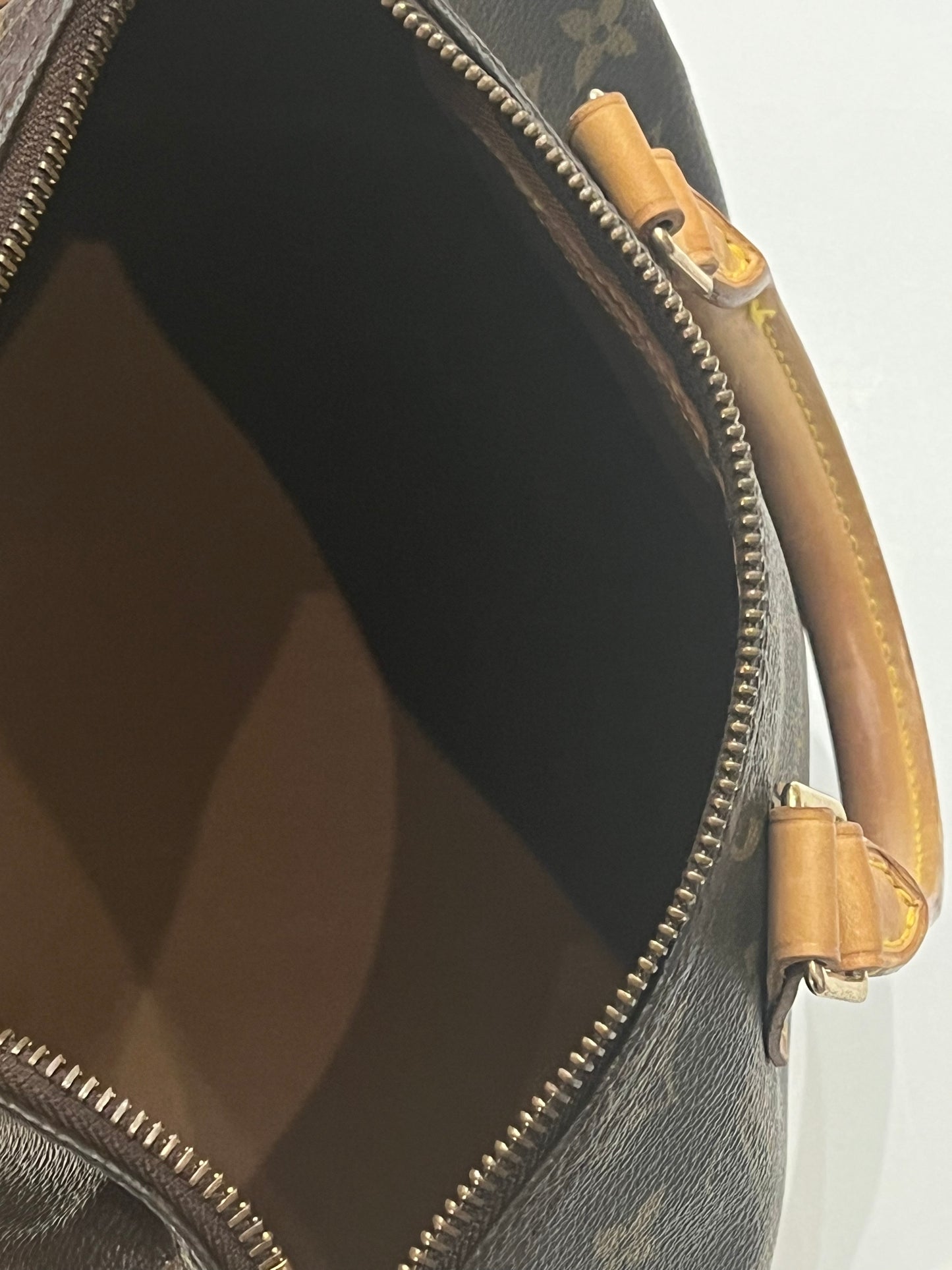 Louis Vuitton Speedy 25 bag