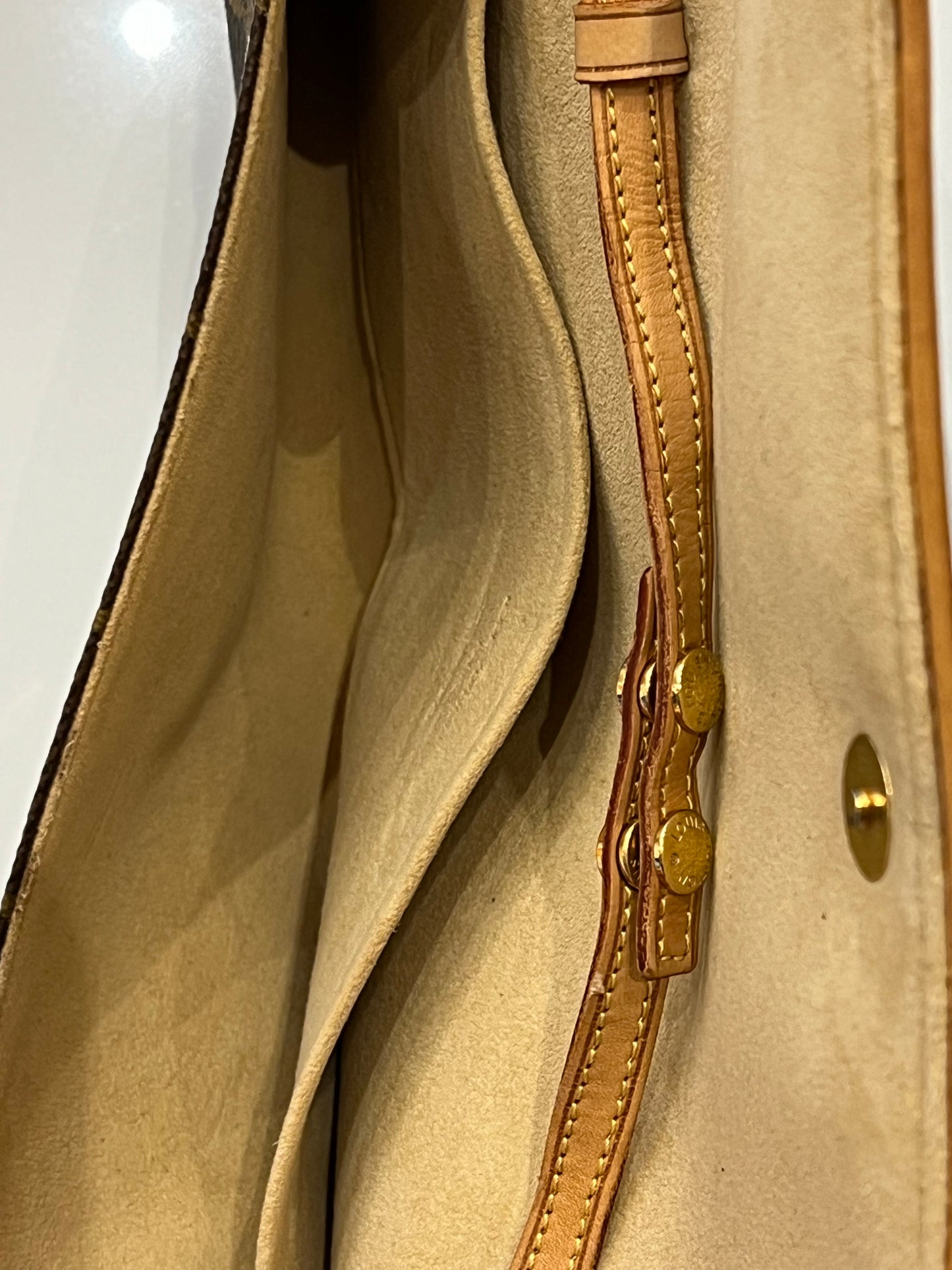 Louis Vuitton Twin Pochette GM