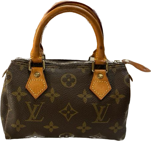 Louis Vuitton Speedy Mini HL