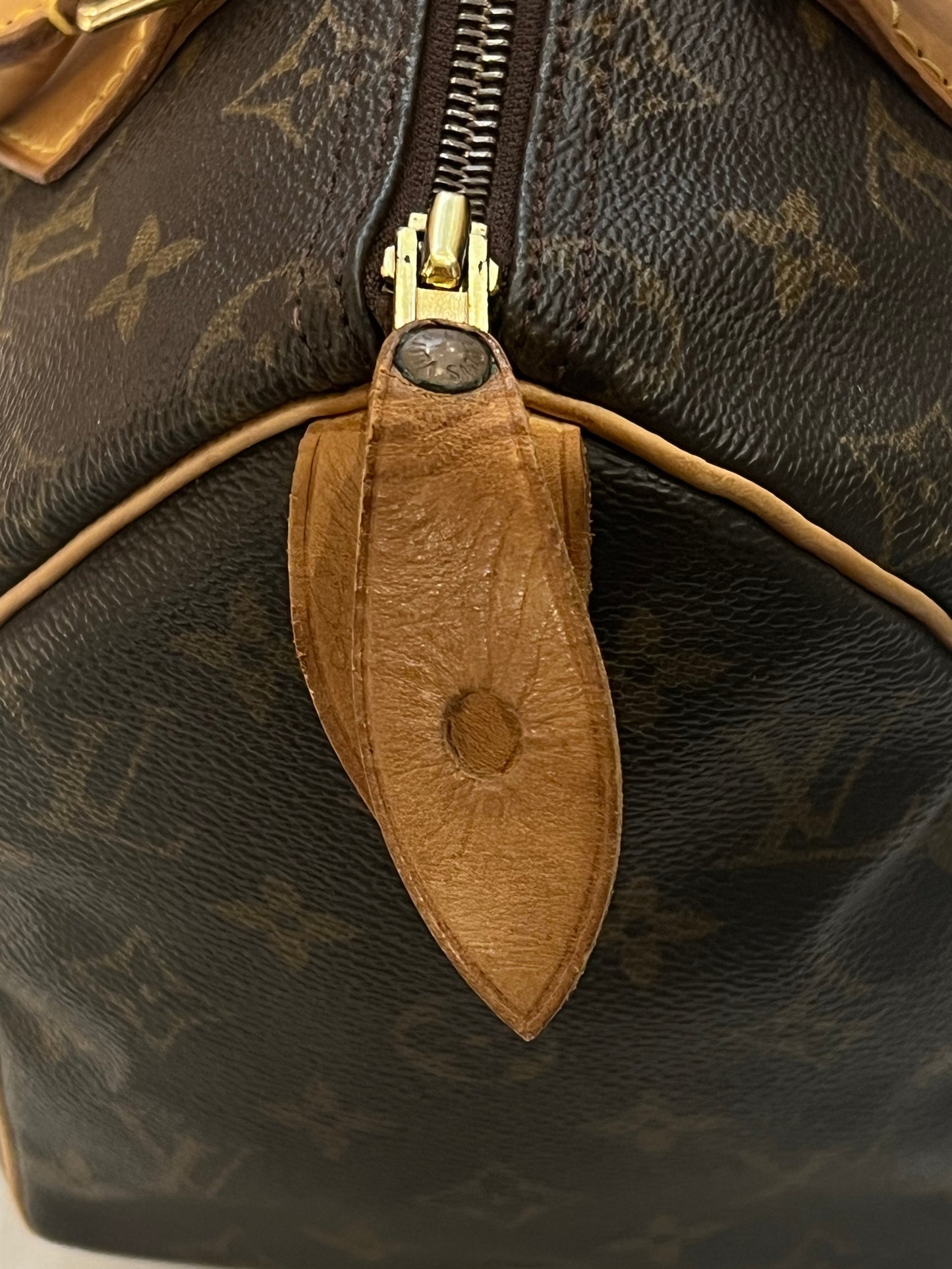 Louis Vuitton Speedy 25 bag