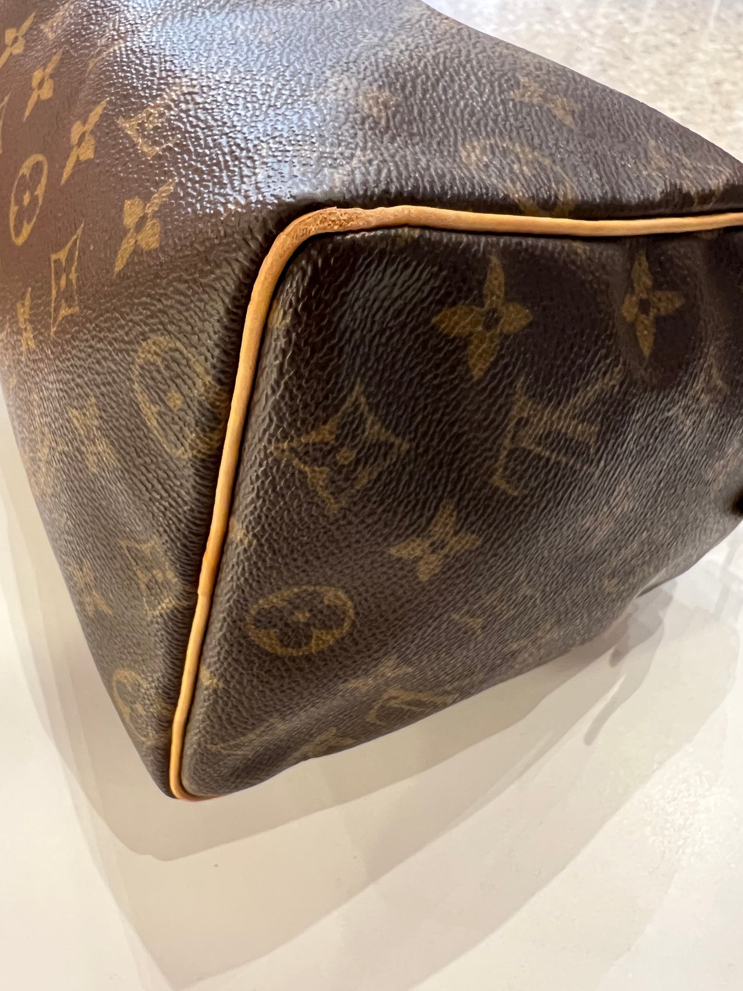 Louis Vuitton Speedy 25 bag