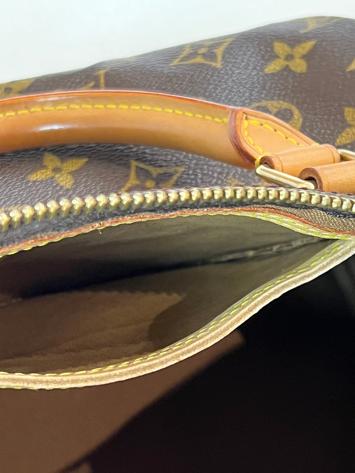 Louis Vuitton Speedy 30 bag