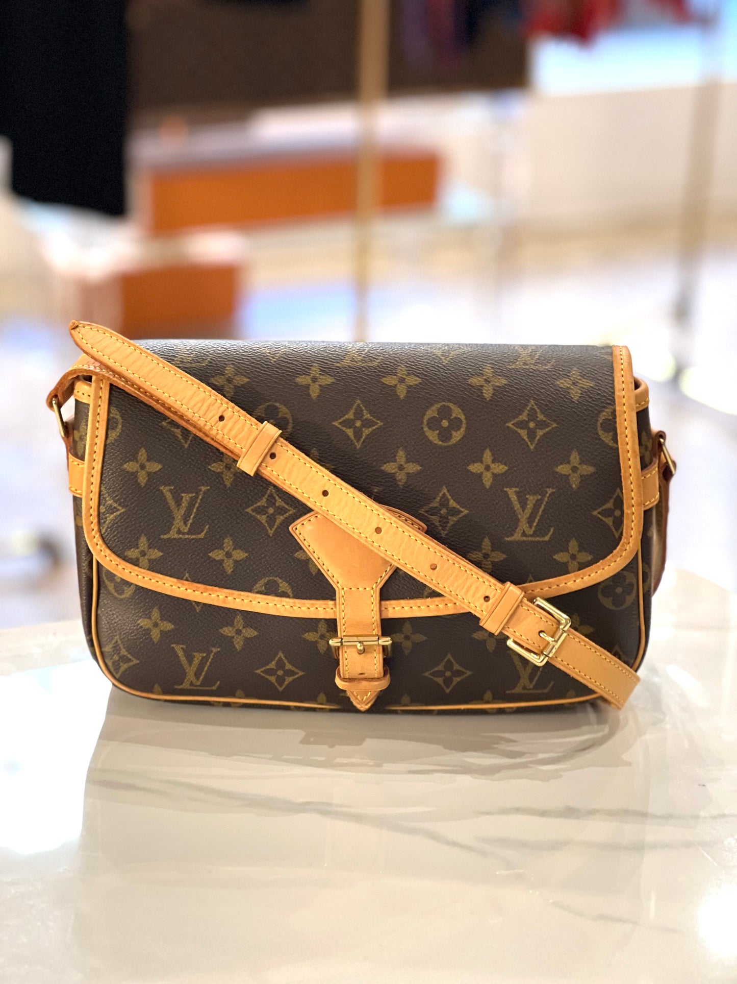 Louis Vuitton Sologne