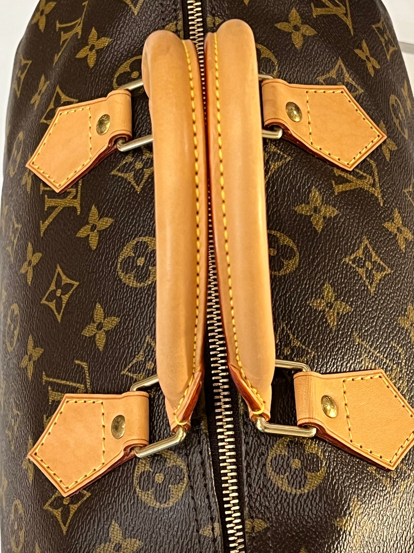 Louis Vuitton Speedy 30