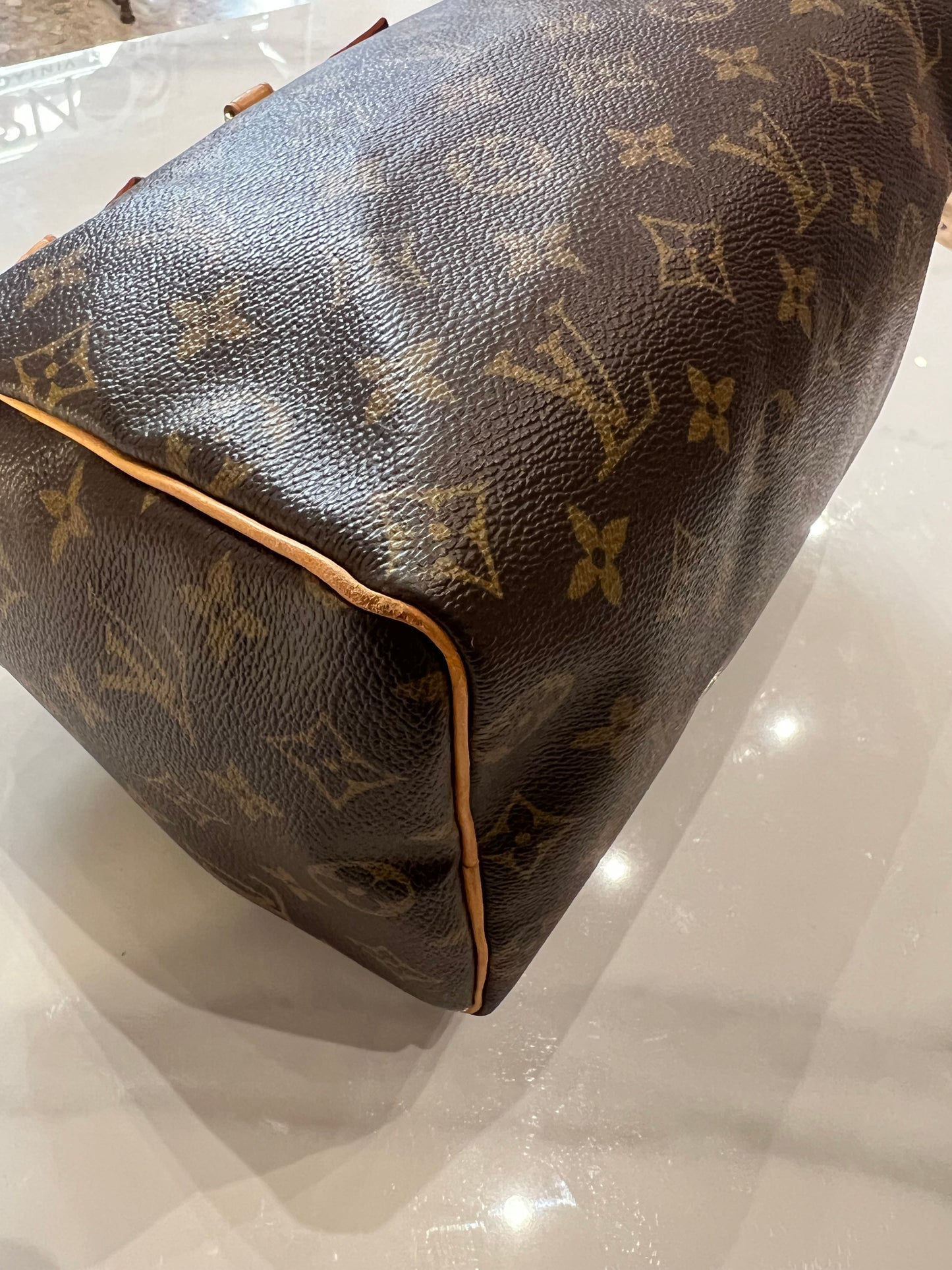 Borsa Louis Vuitton Speedy 25