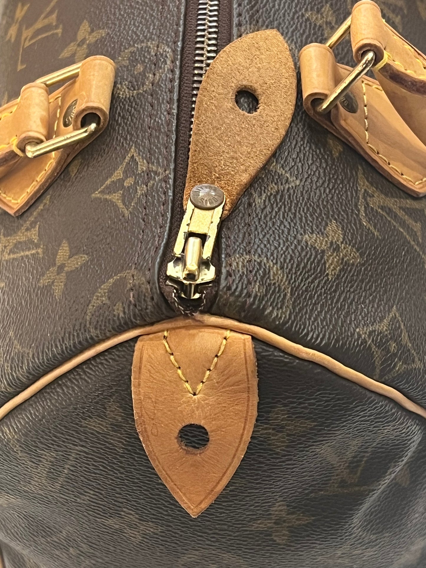 Louis Vuitton Speedy 25 bag