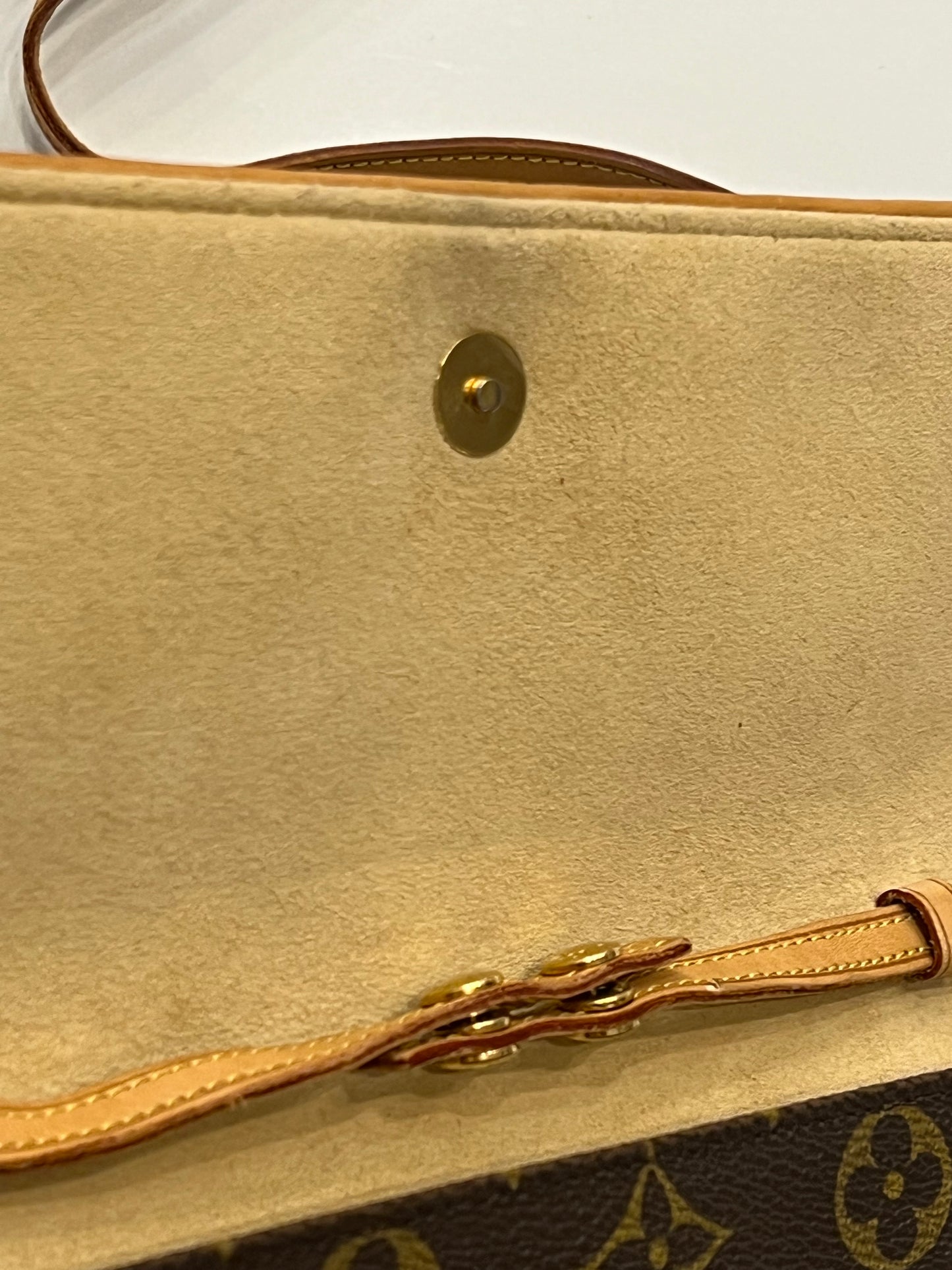 Louis Vuitton Twin Pochette GM