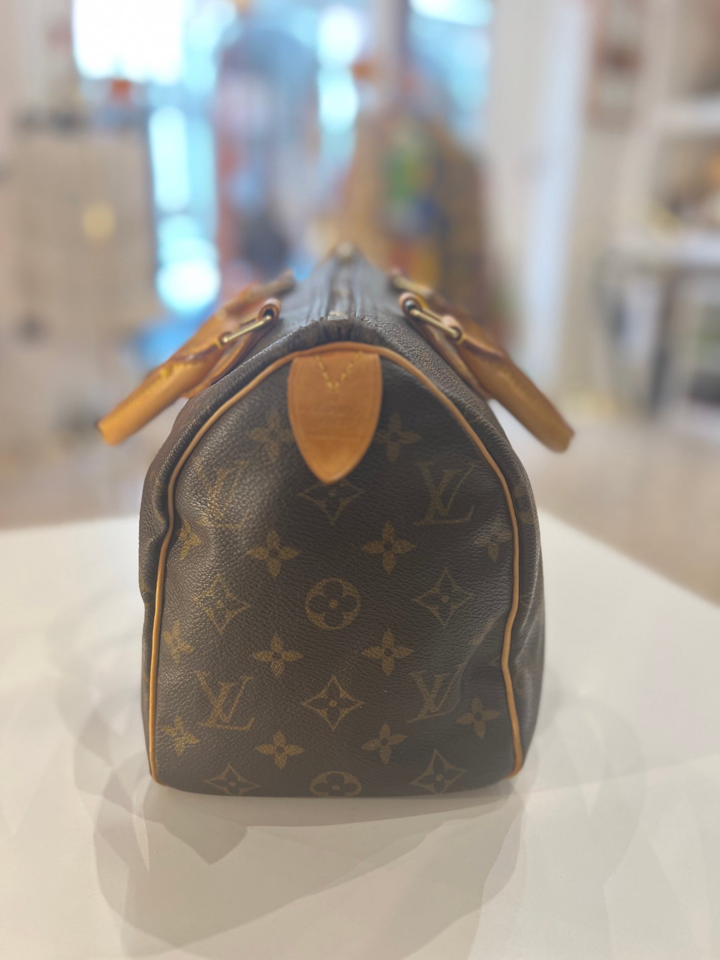 Louis Vuitton Speedy 25 bag