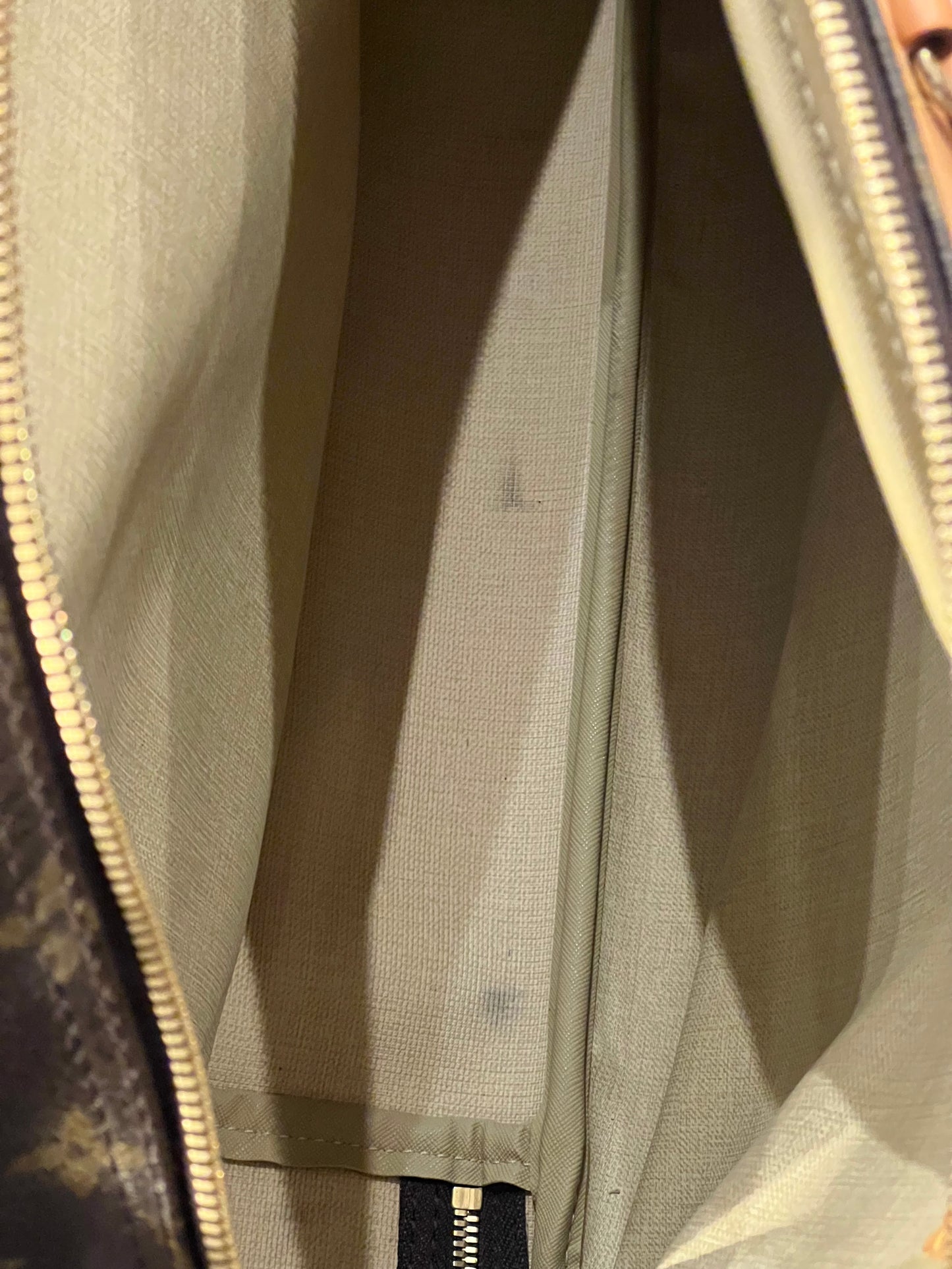 Borsa Alizè Louis Vuitton