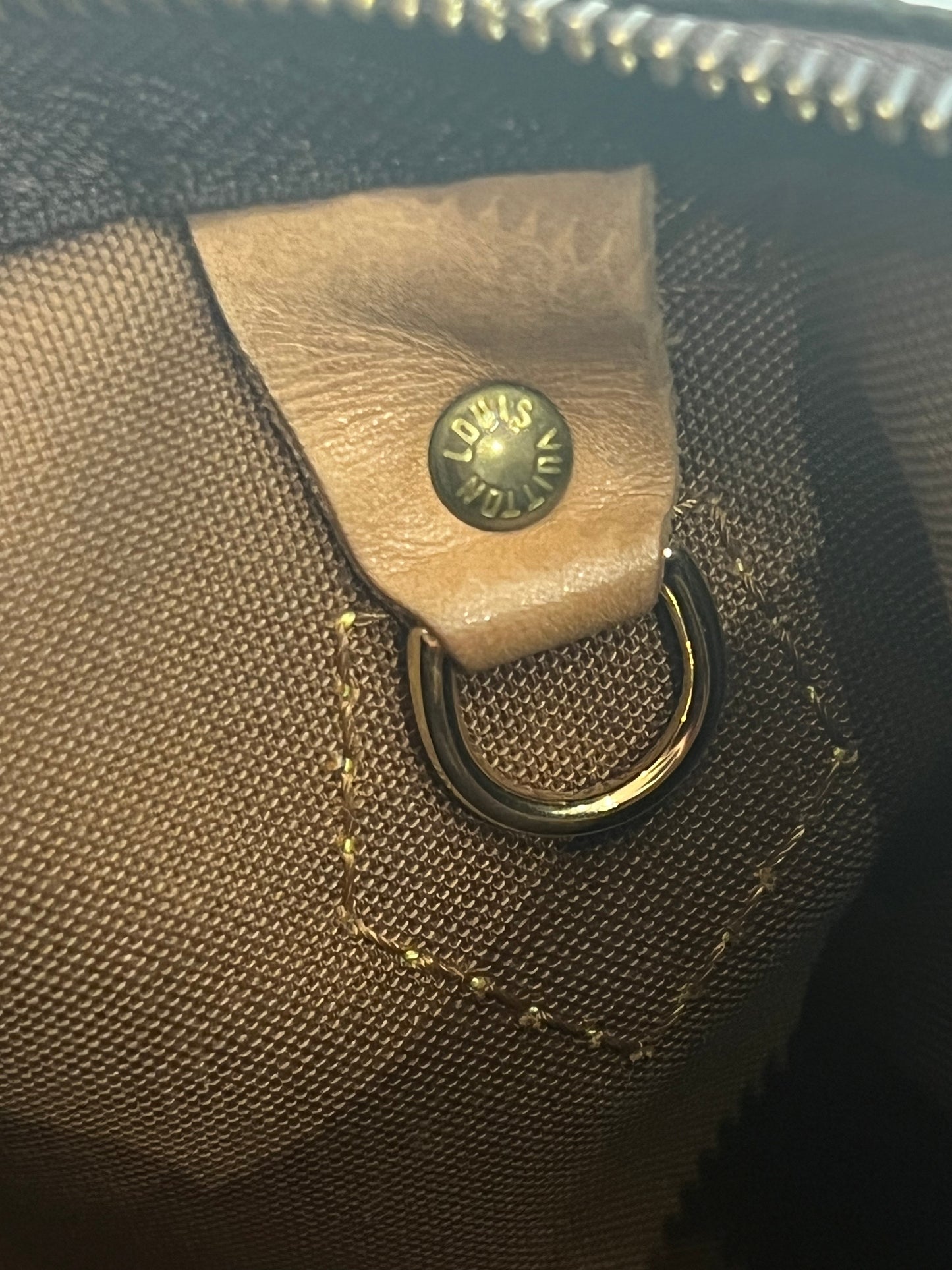 Louis Vuitton Speedy 25 bag