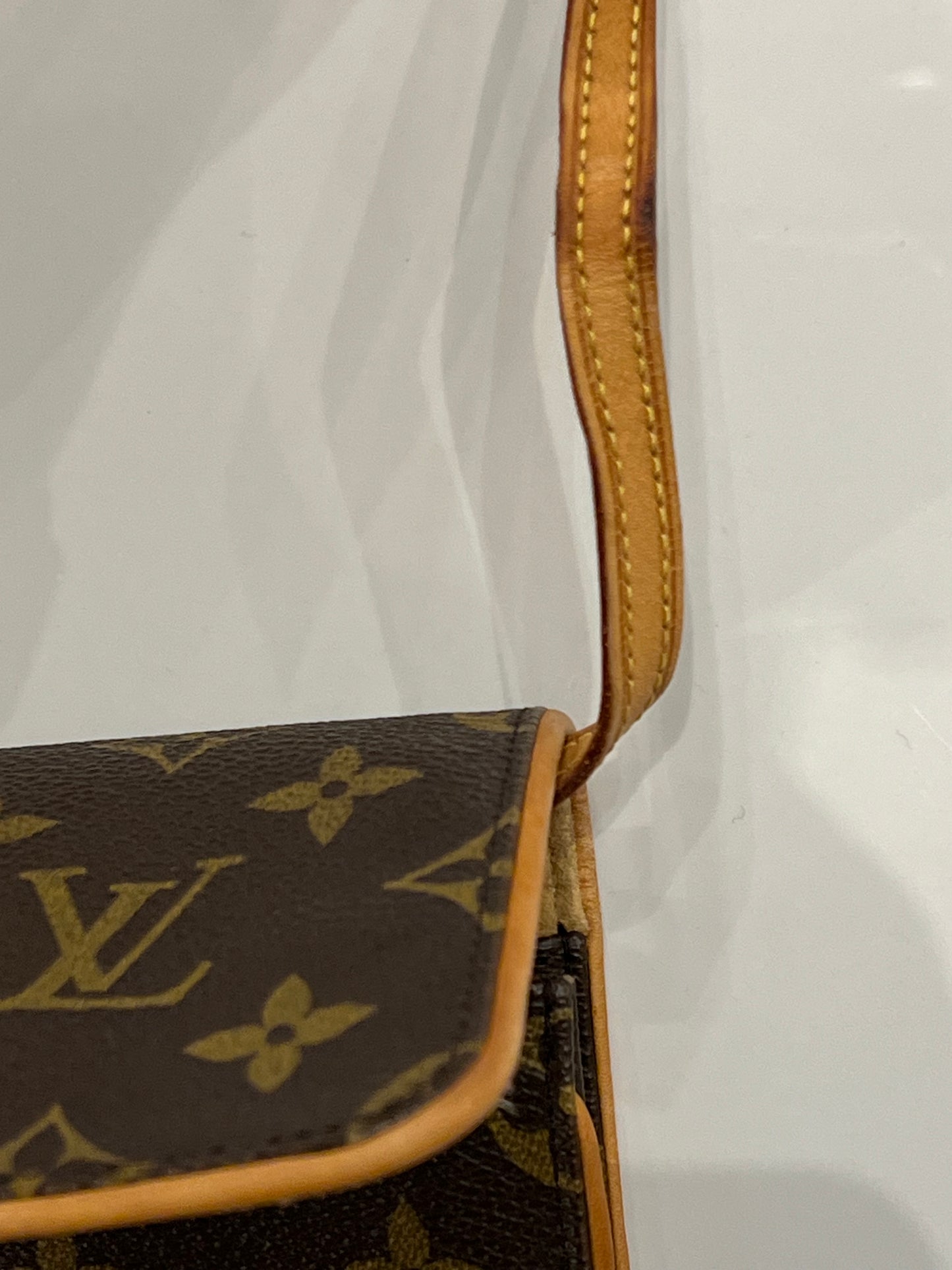 Louis Vuitton Twin Pochette GM
