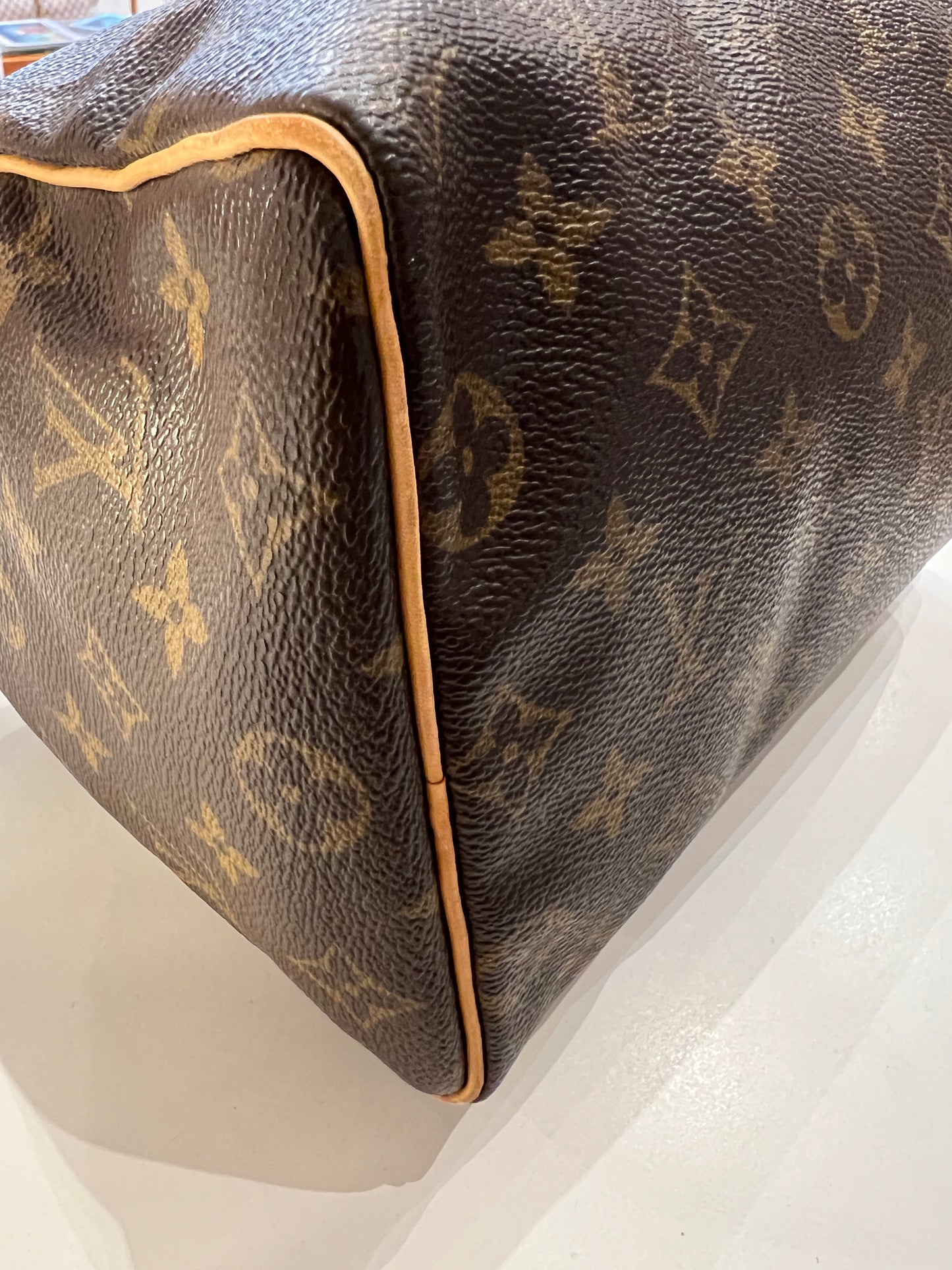 Louis Vuitton Speedy 25 bag