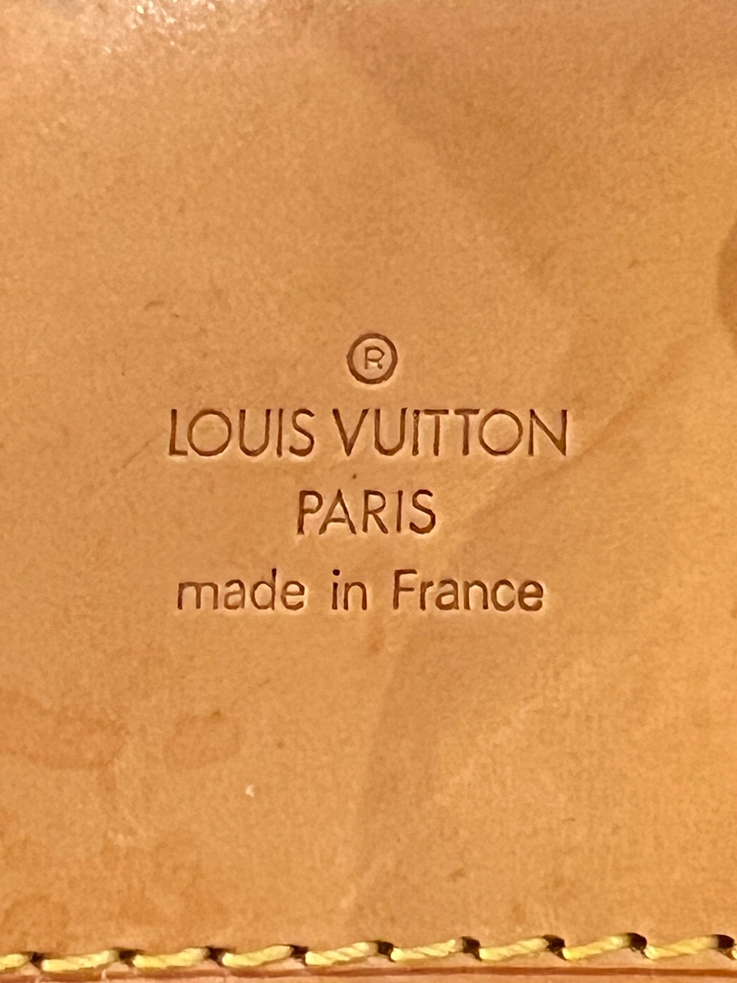 Borsa Alizè Louis Vuitton
