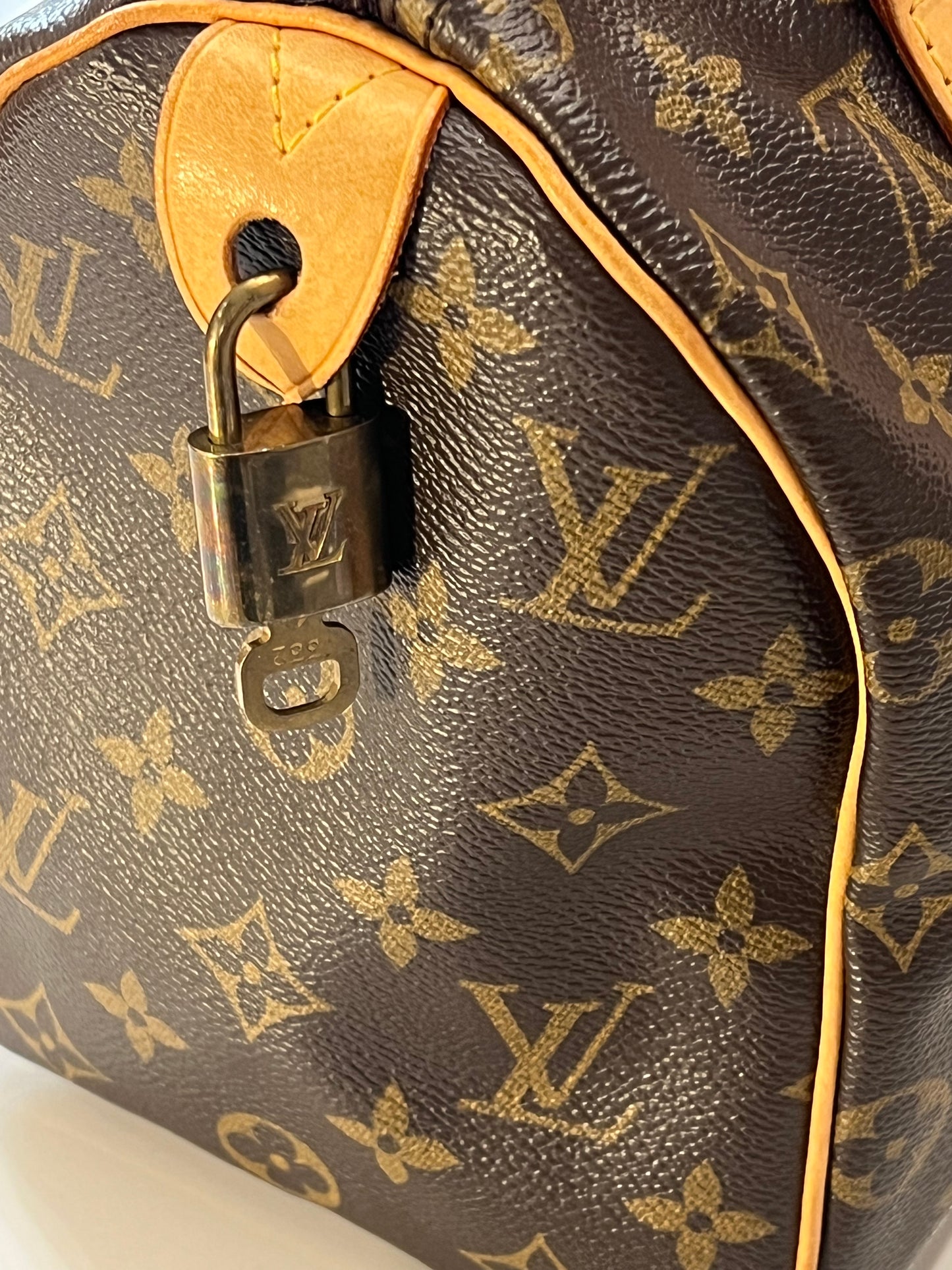 Borsa Louis Vuitton Speedy 25