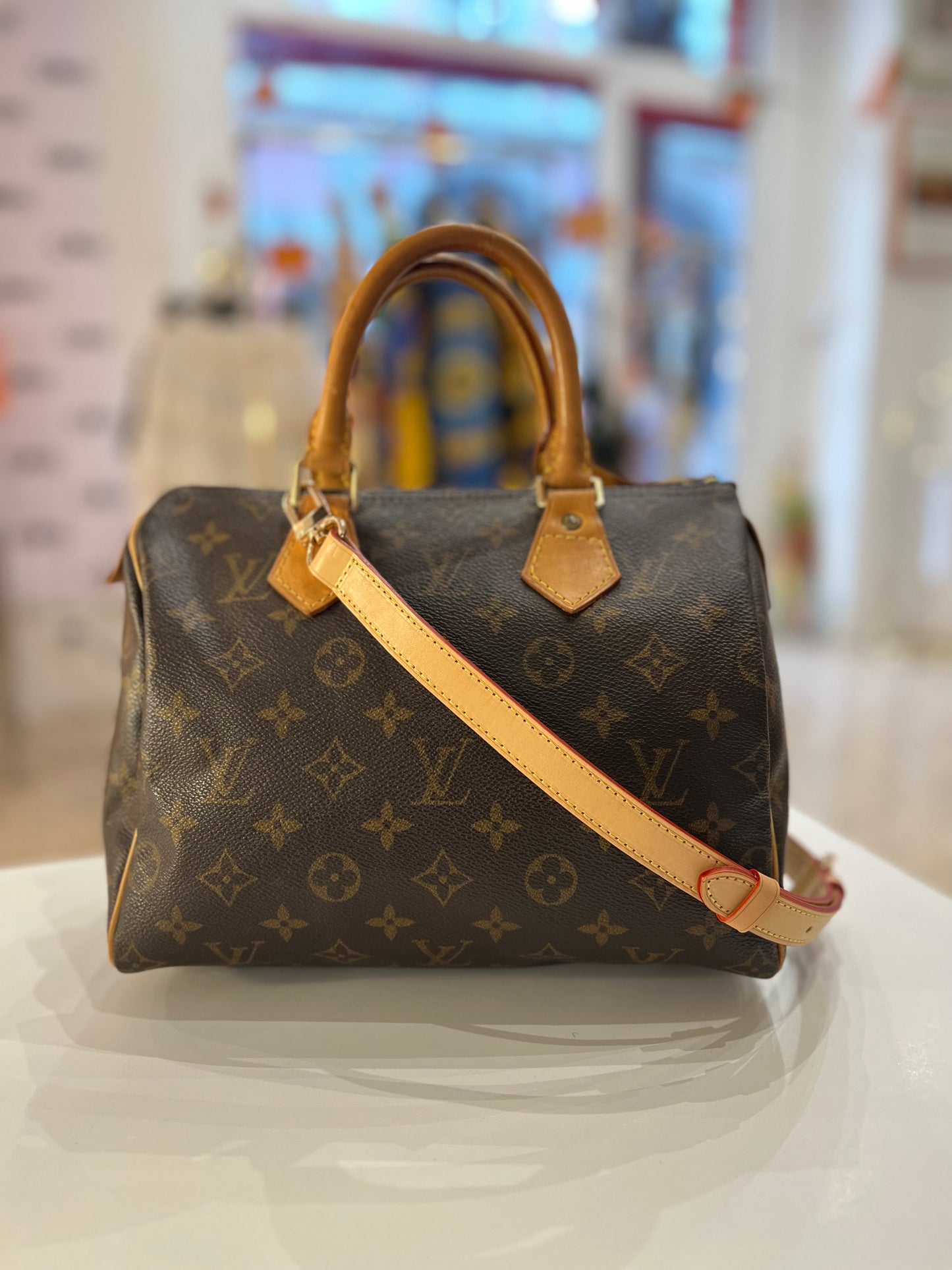 Louis Vuitton Speedy 25 bag