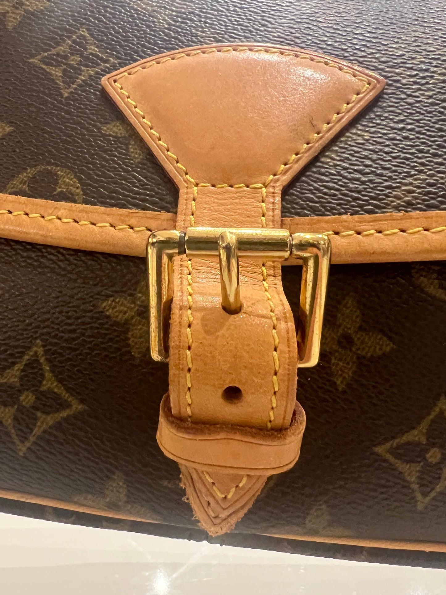 Louis Vuitton Sologne