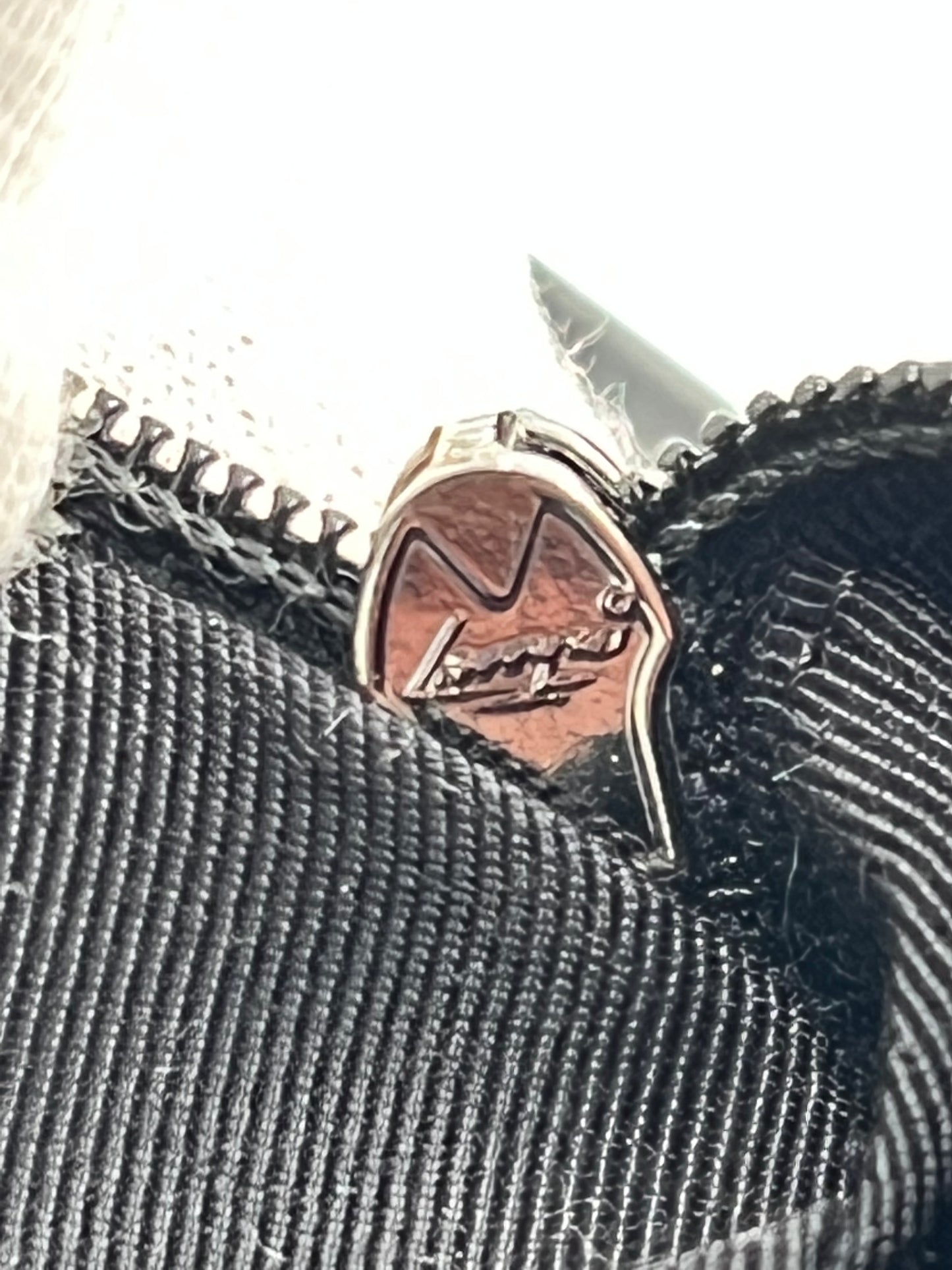 Chanel Hula Hoop bag