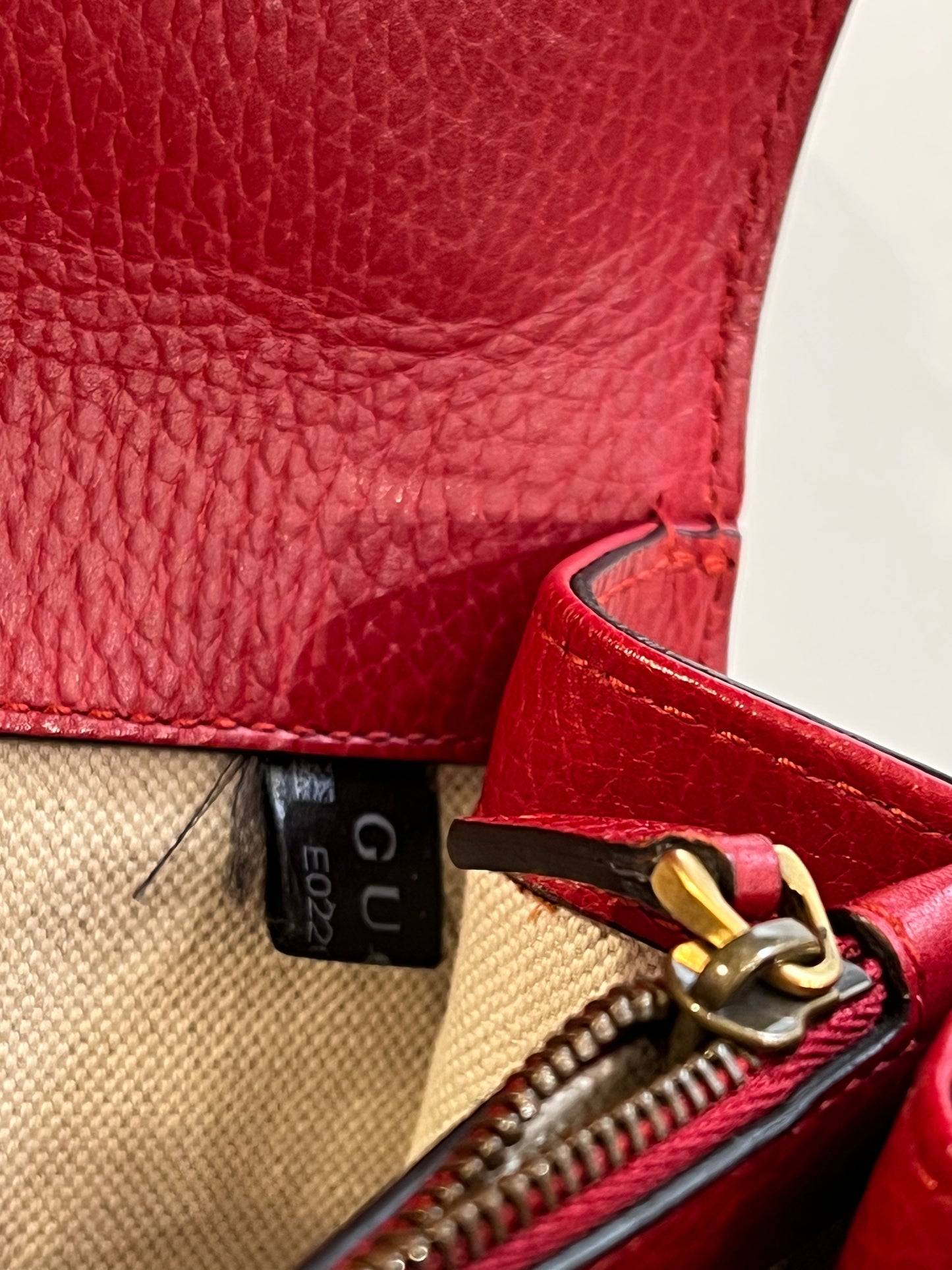 Gucci Dionysus rossa