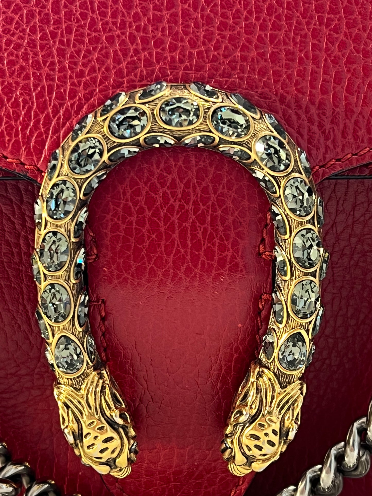 Gucci Dionysus rossa