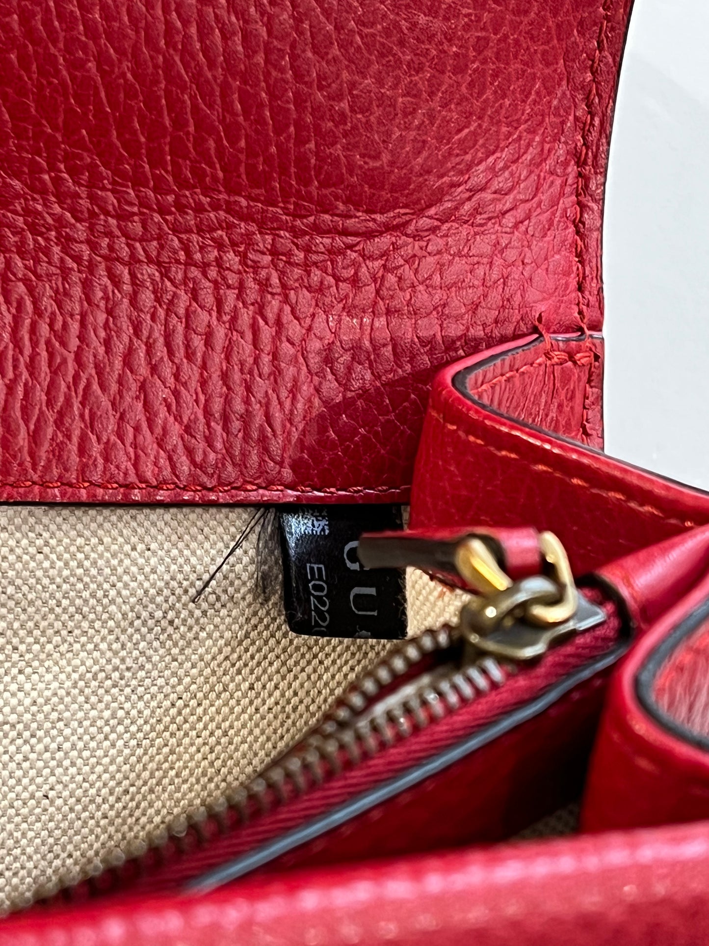 Gucci Dionysus rossa
