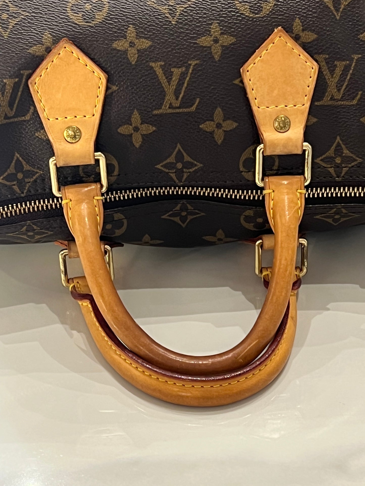 Borsa Louis Vuitton Speedy 25