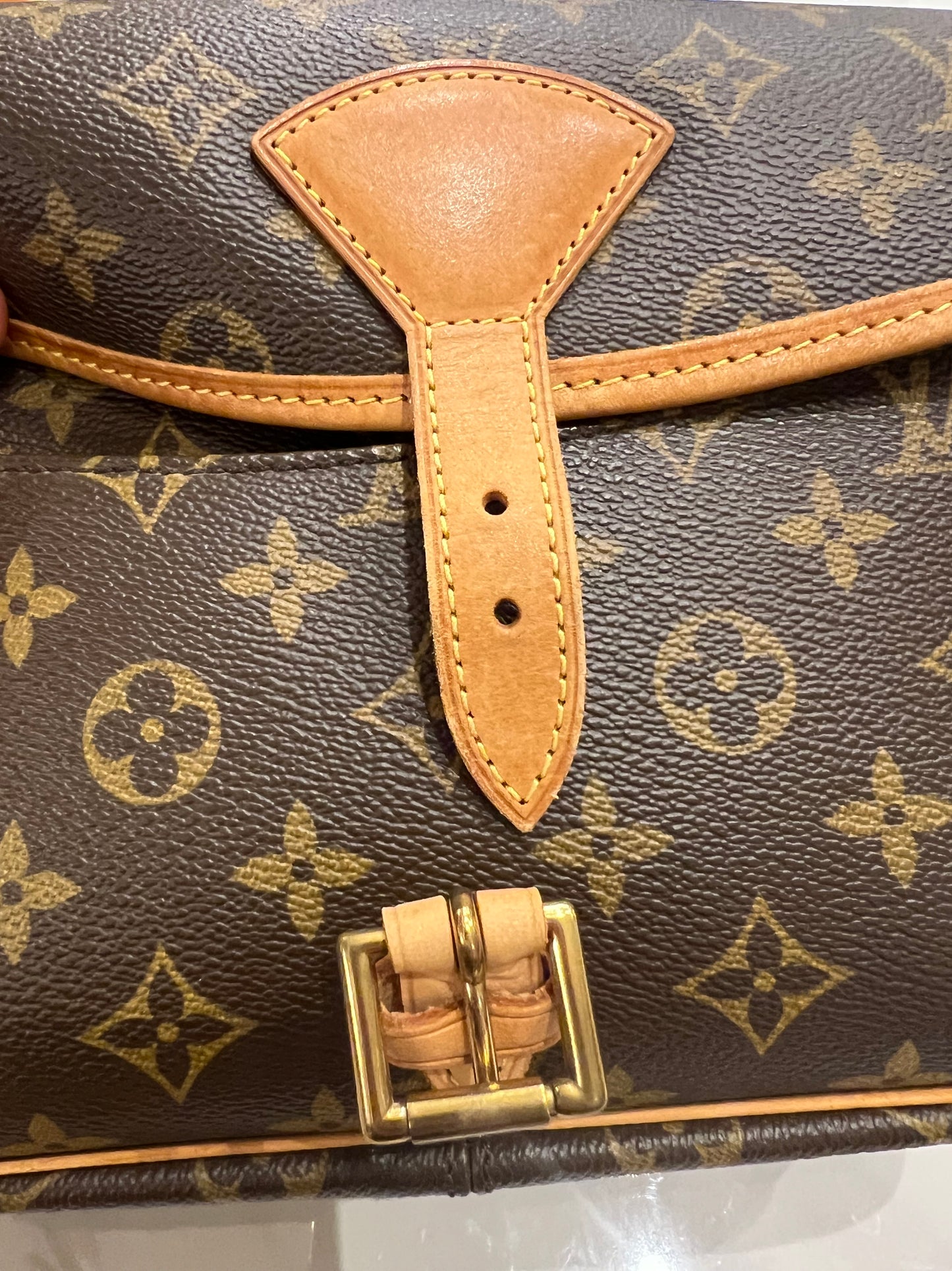 Louis Vuitton Sologne bag