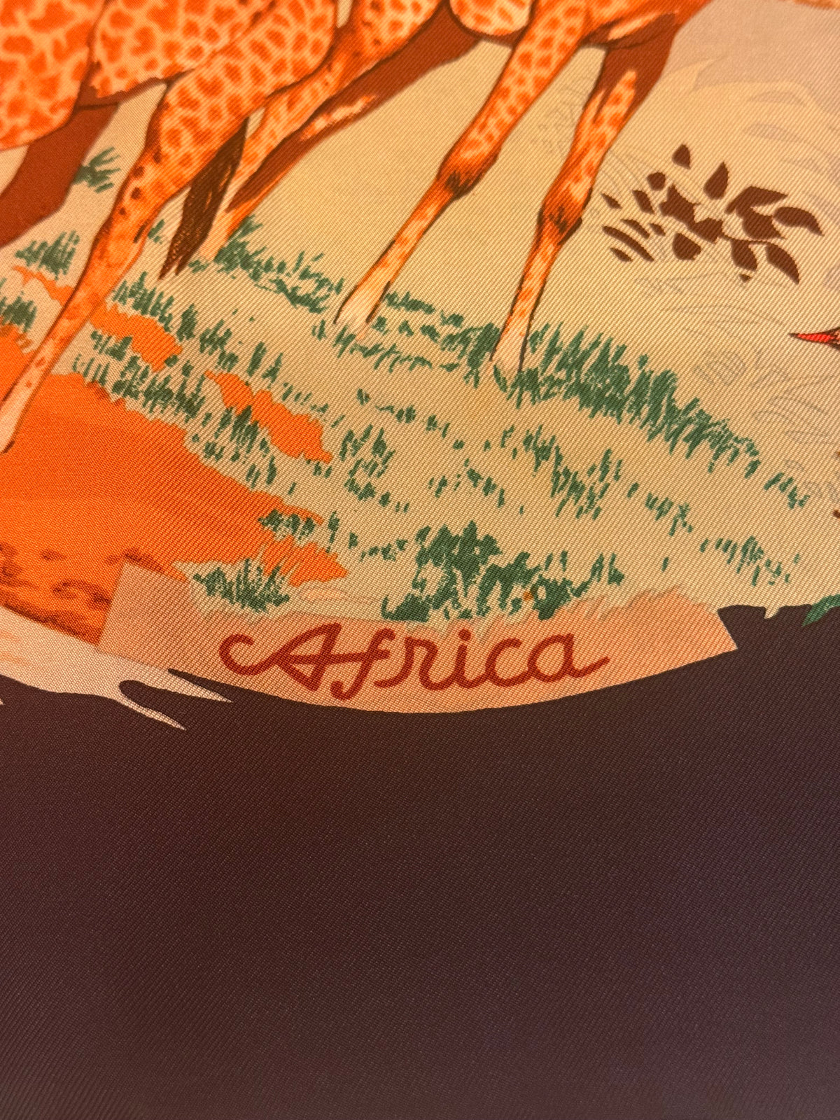 Foulard Hermès vintage Africa