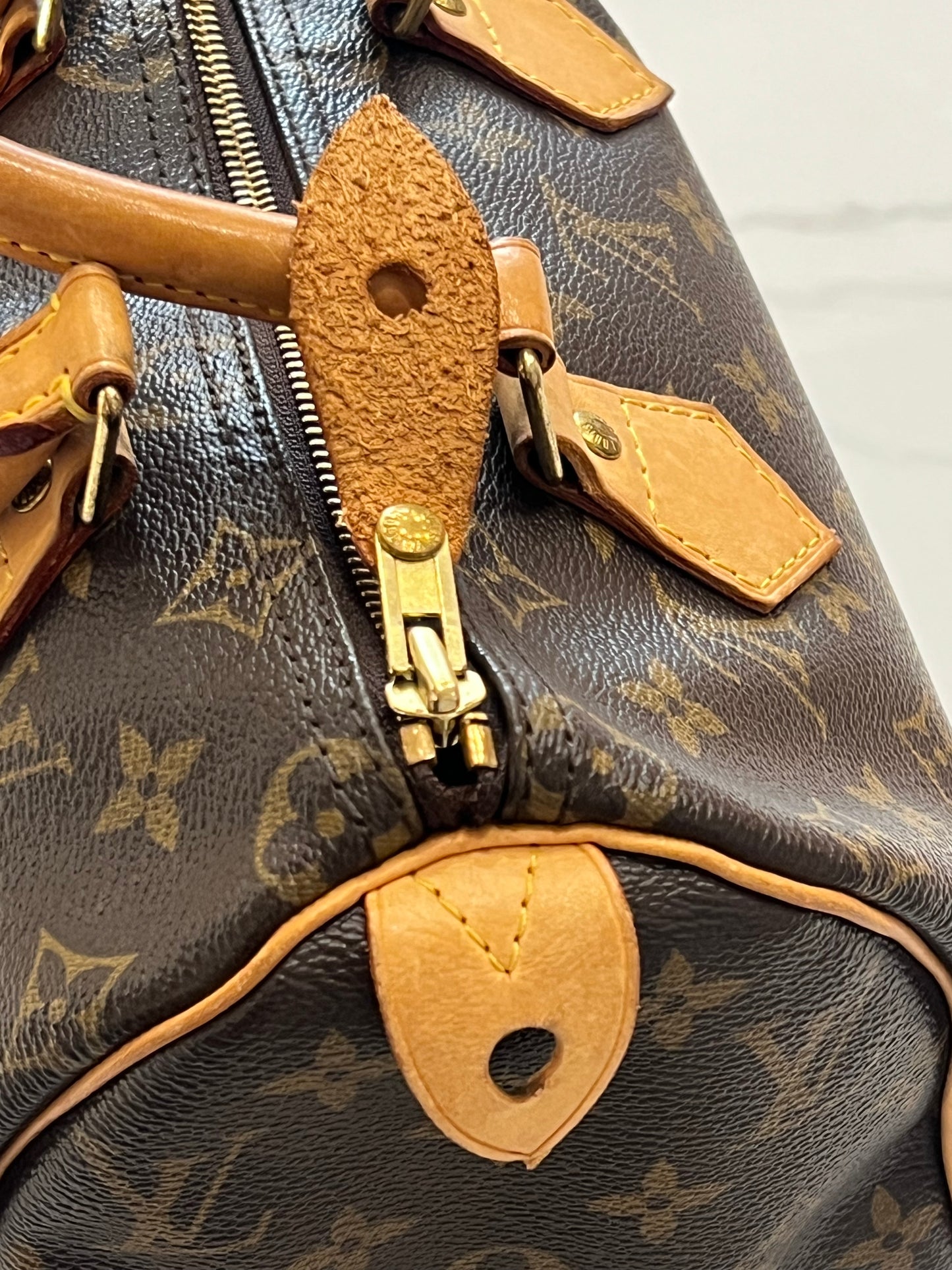 Borsa Louis Vuitton Speedy 25