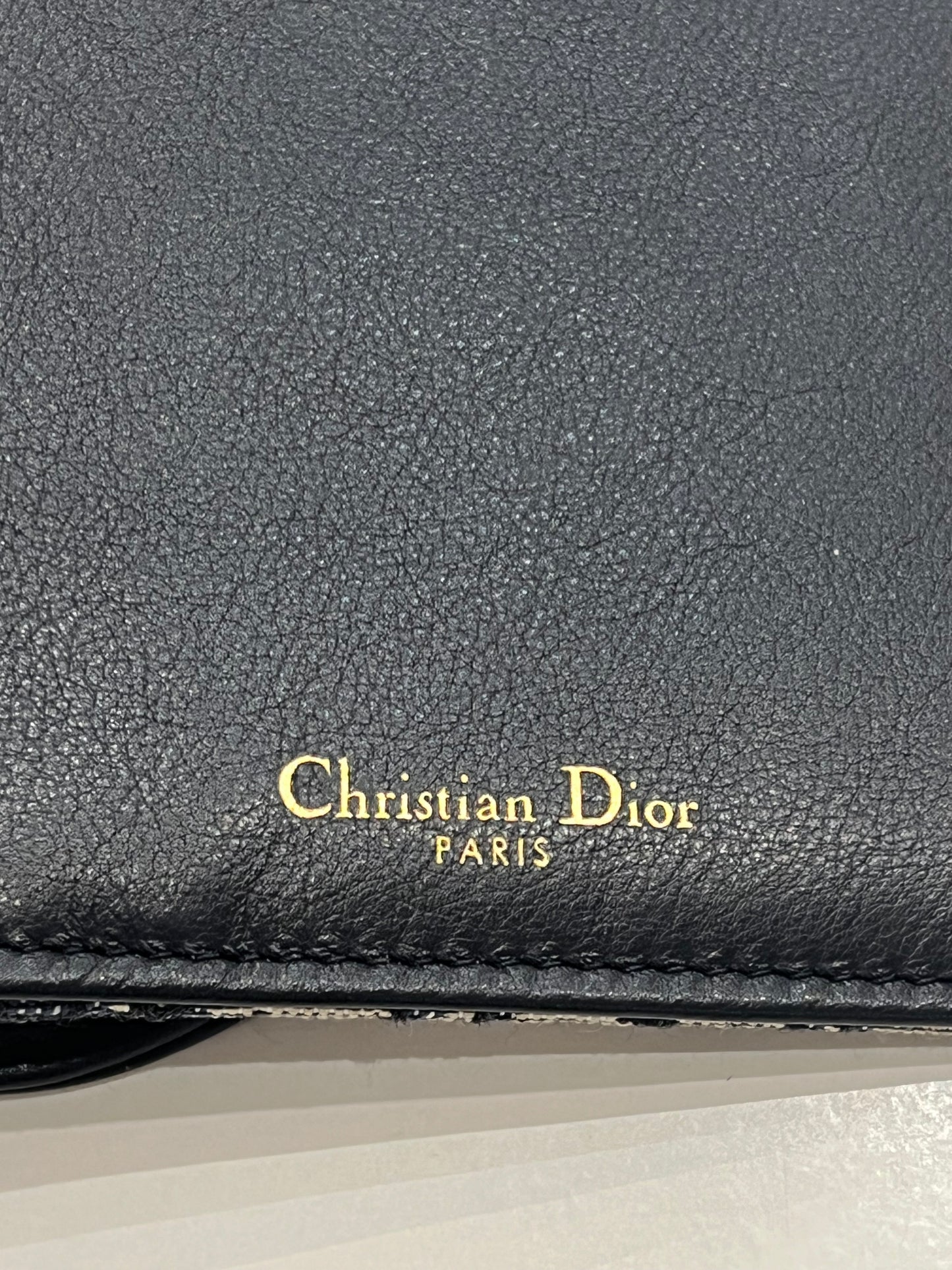 Dior Saddle wallet pochette