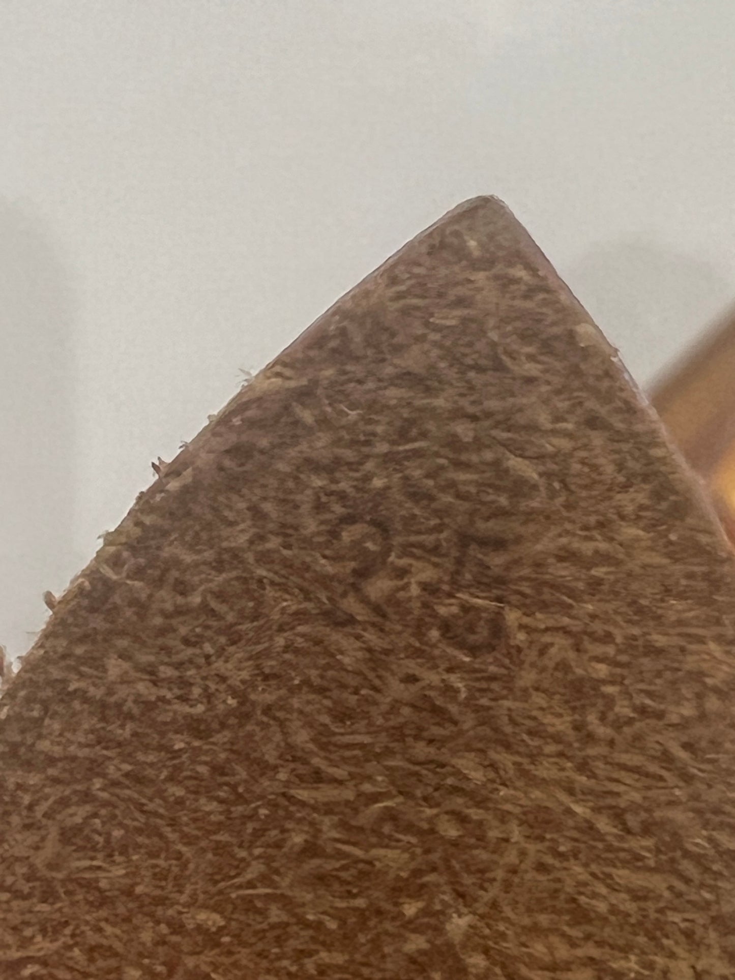 Louis Vuitton Speedy 25 bag