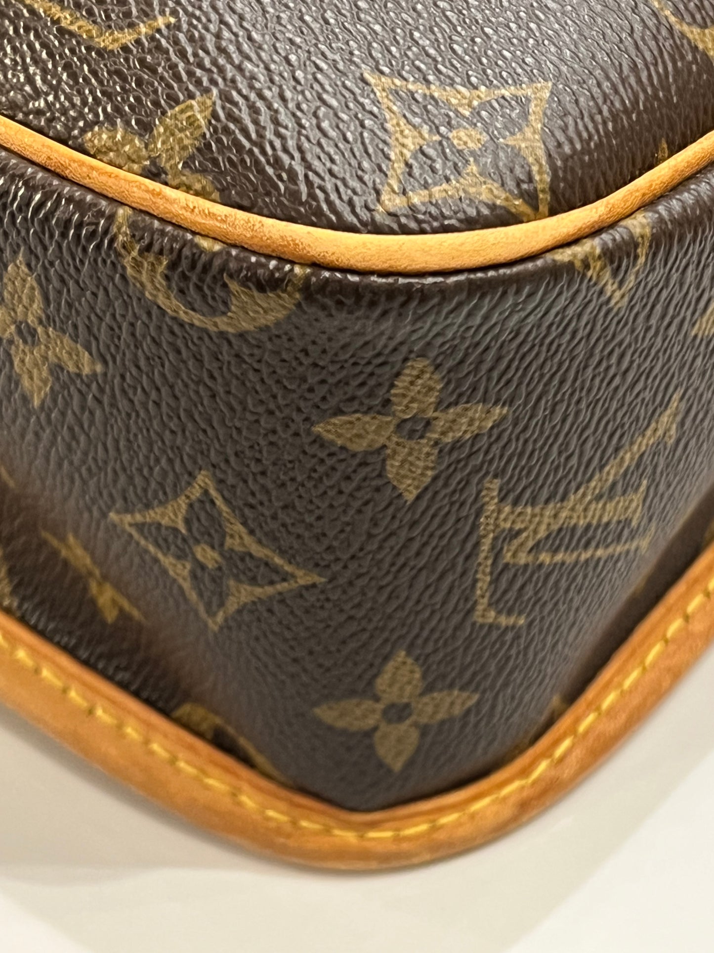 Louis Vuitton Sologne bag