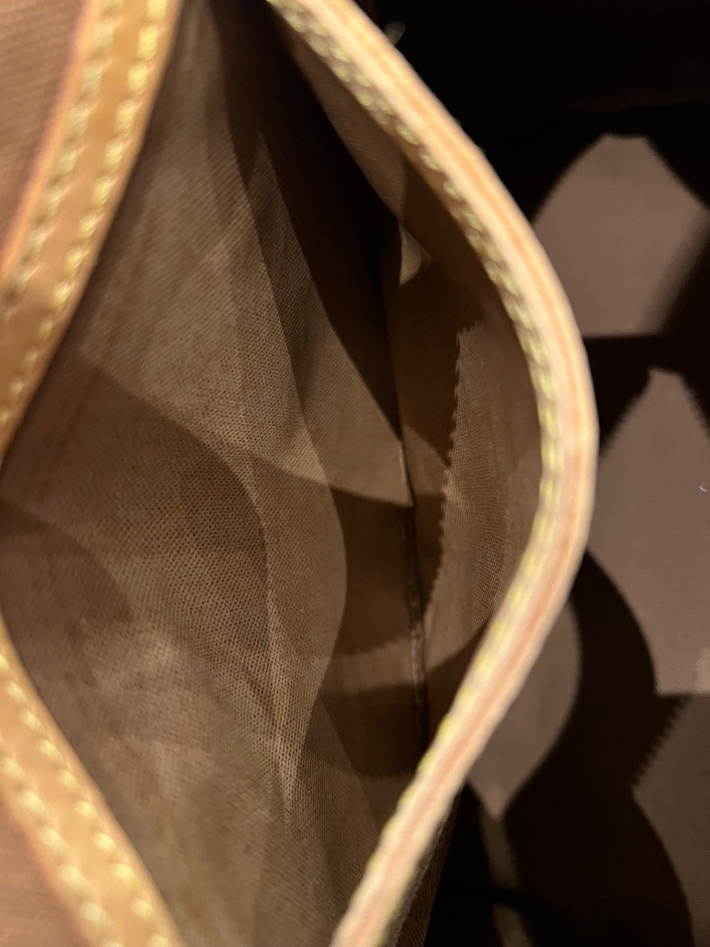 Louis Vuitton Speedy 25 bag