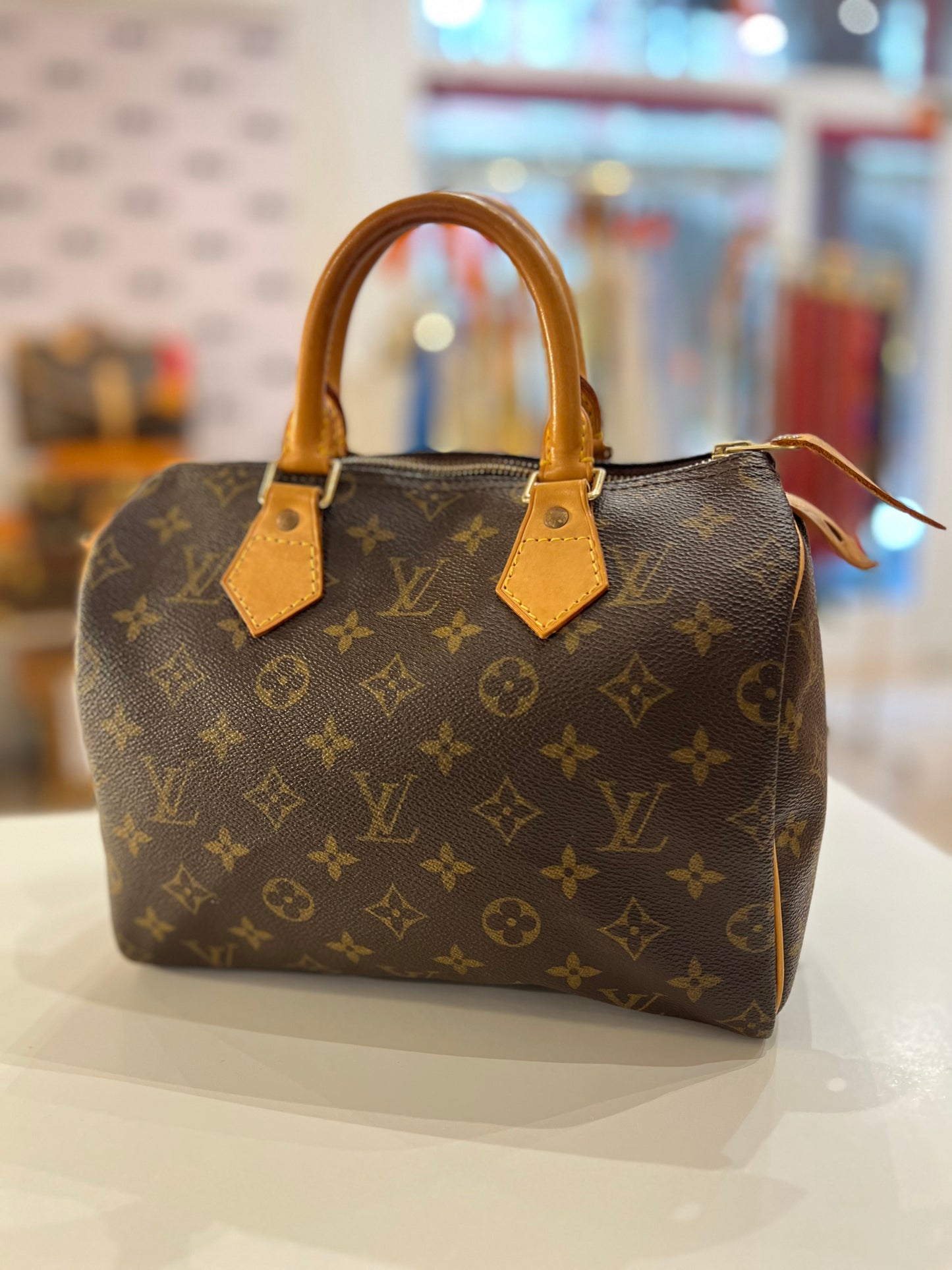 Louis Vuitton Speedy 25 bag