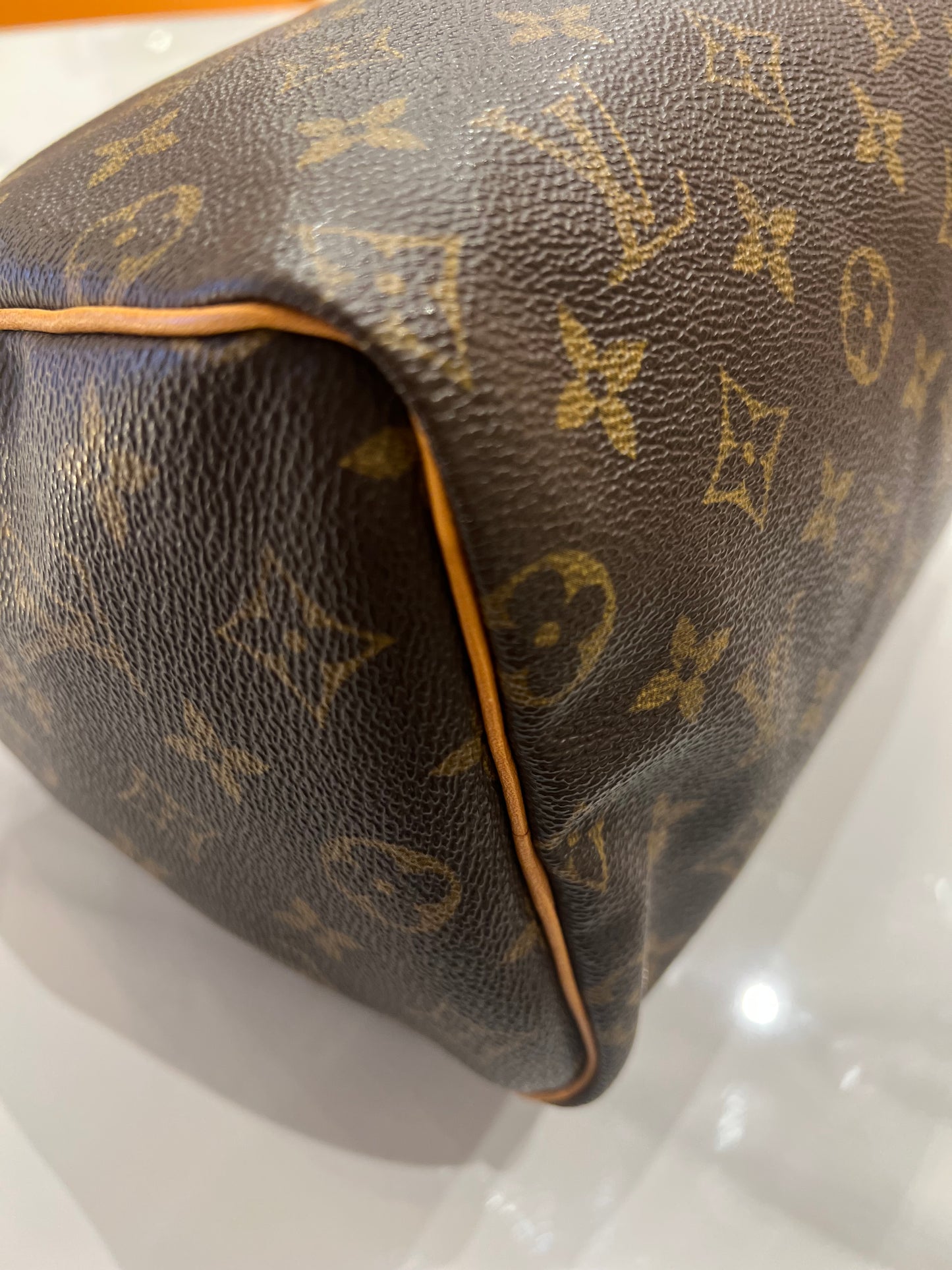Louis Vuitton Speedy 25 bag