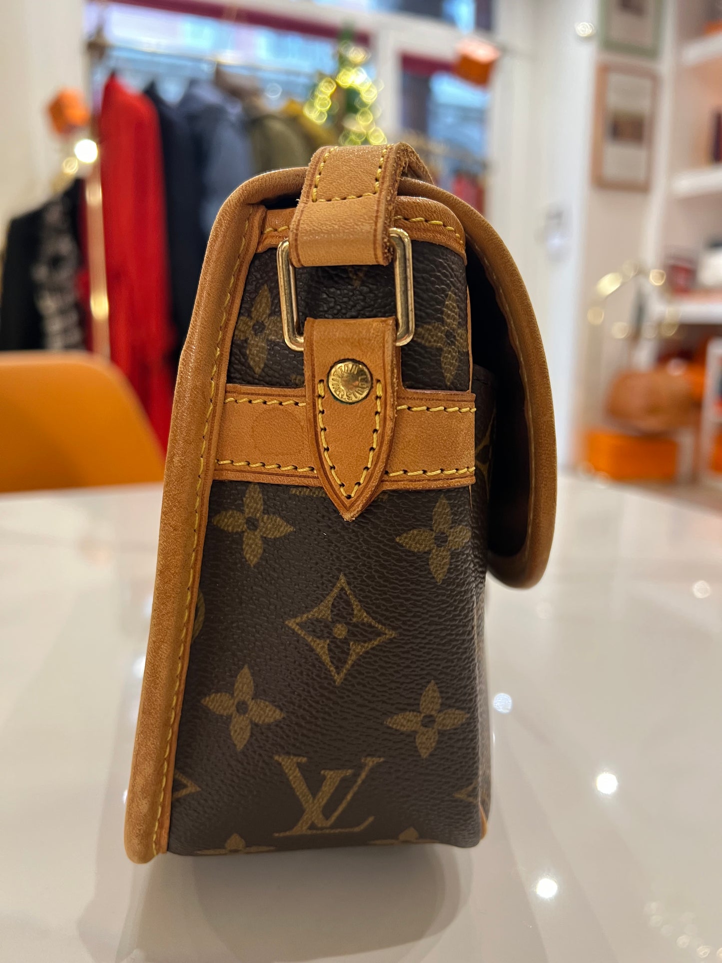 Louis Vuitton Sologne bag