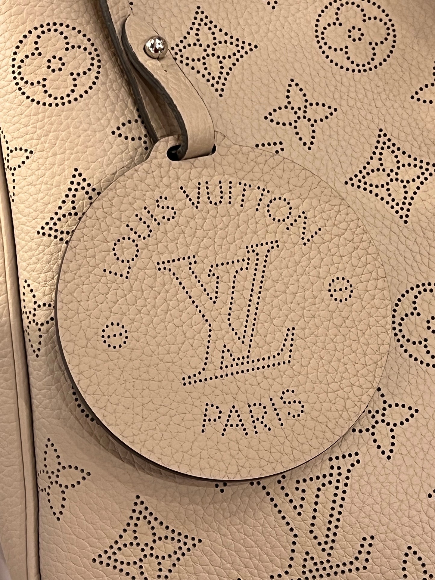Louis Vuitton All Around Mahina MM bag