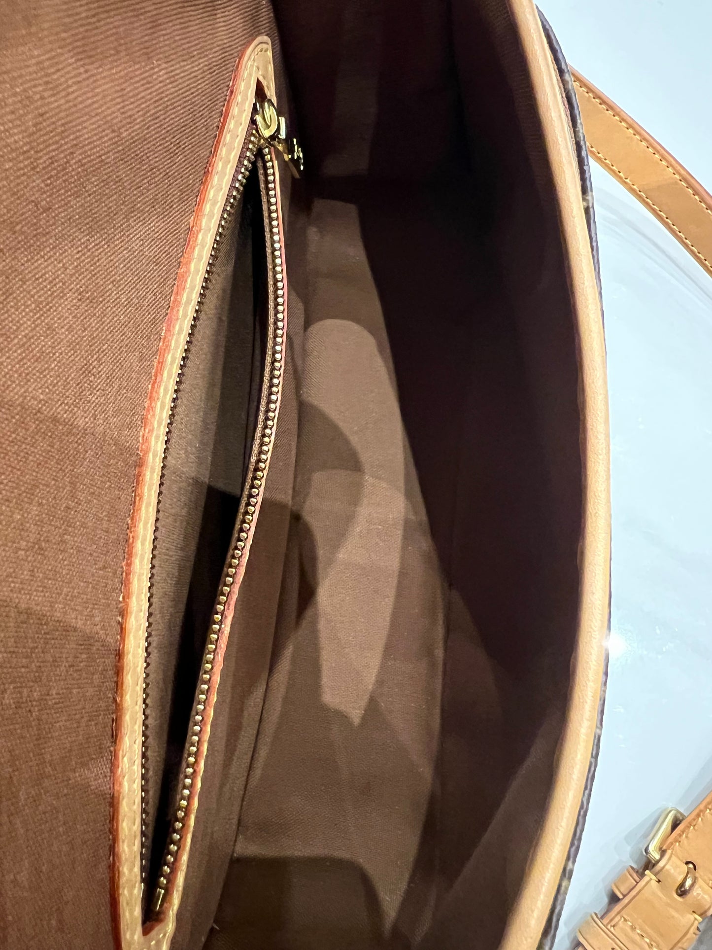 Louis Vuitton Sologne bag