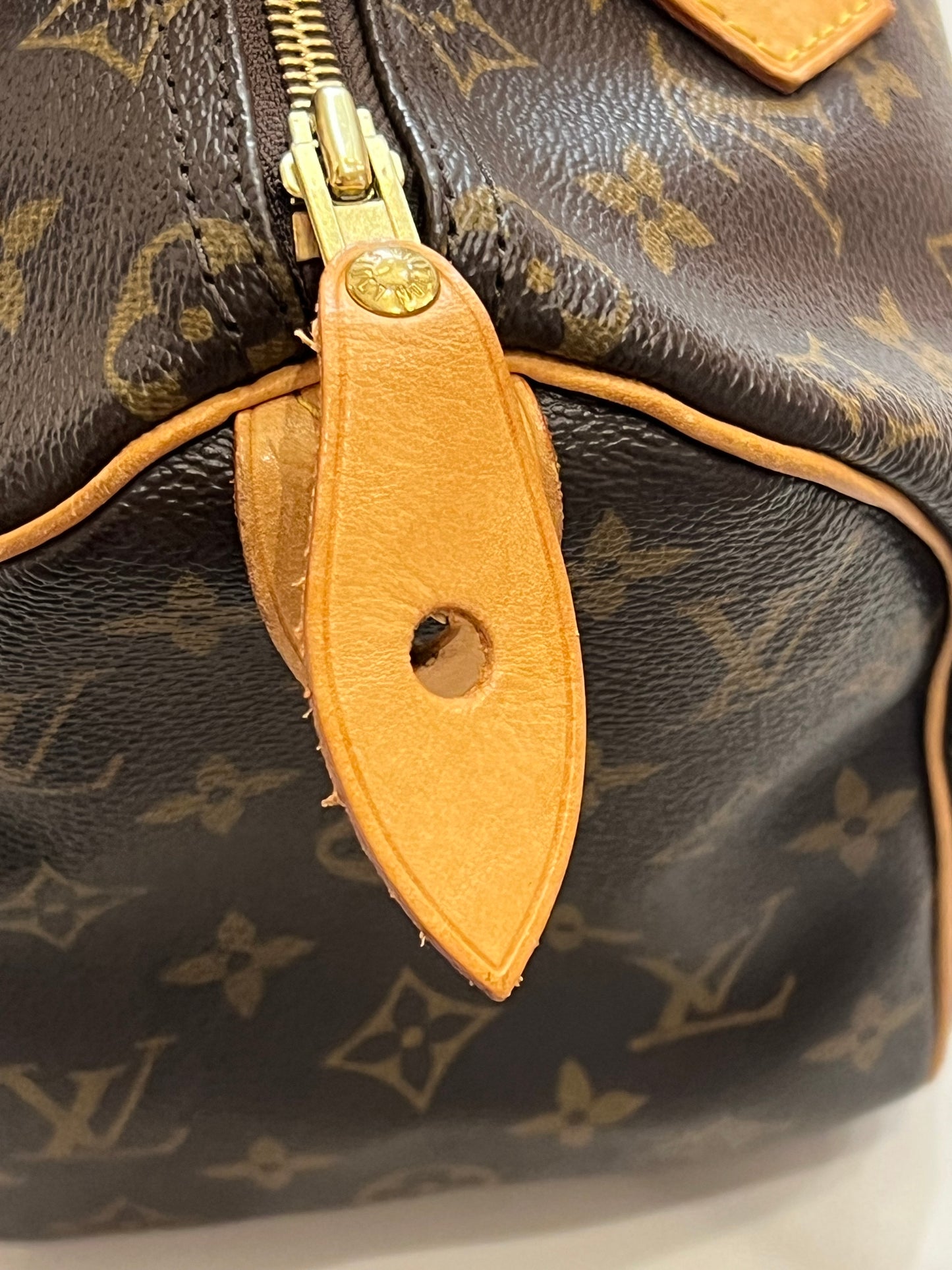 Borsa Louis Vuitton Speedy 25