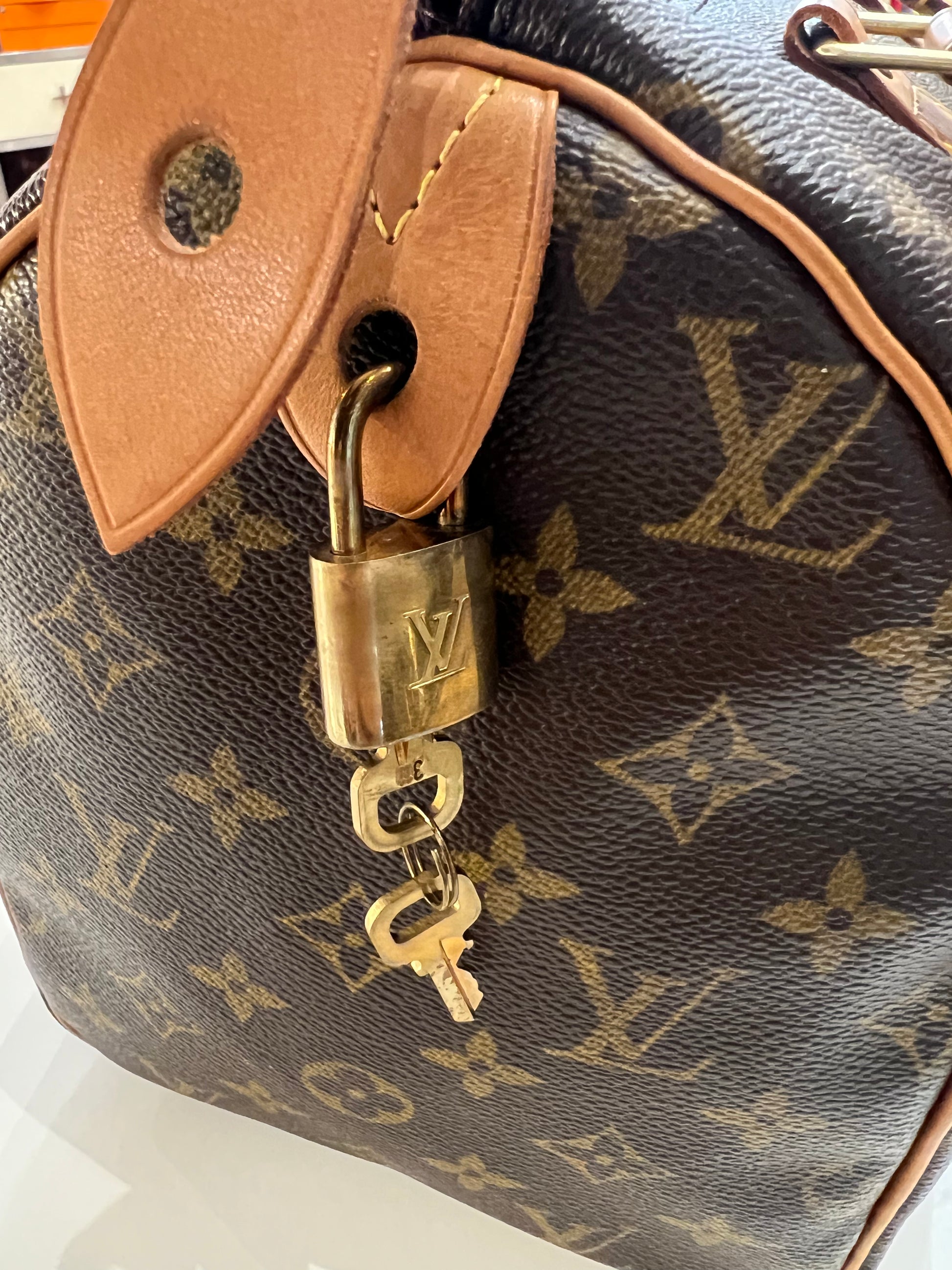 Louis Vuitton Speedy 30 Monogram - IconPrincess