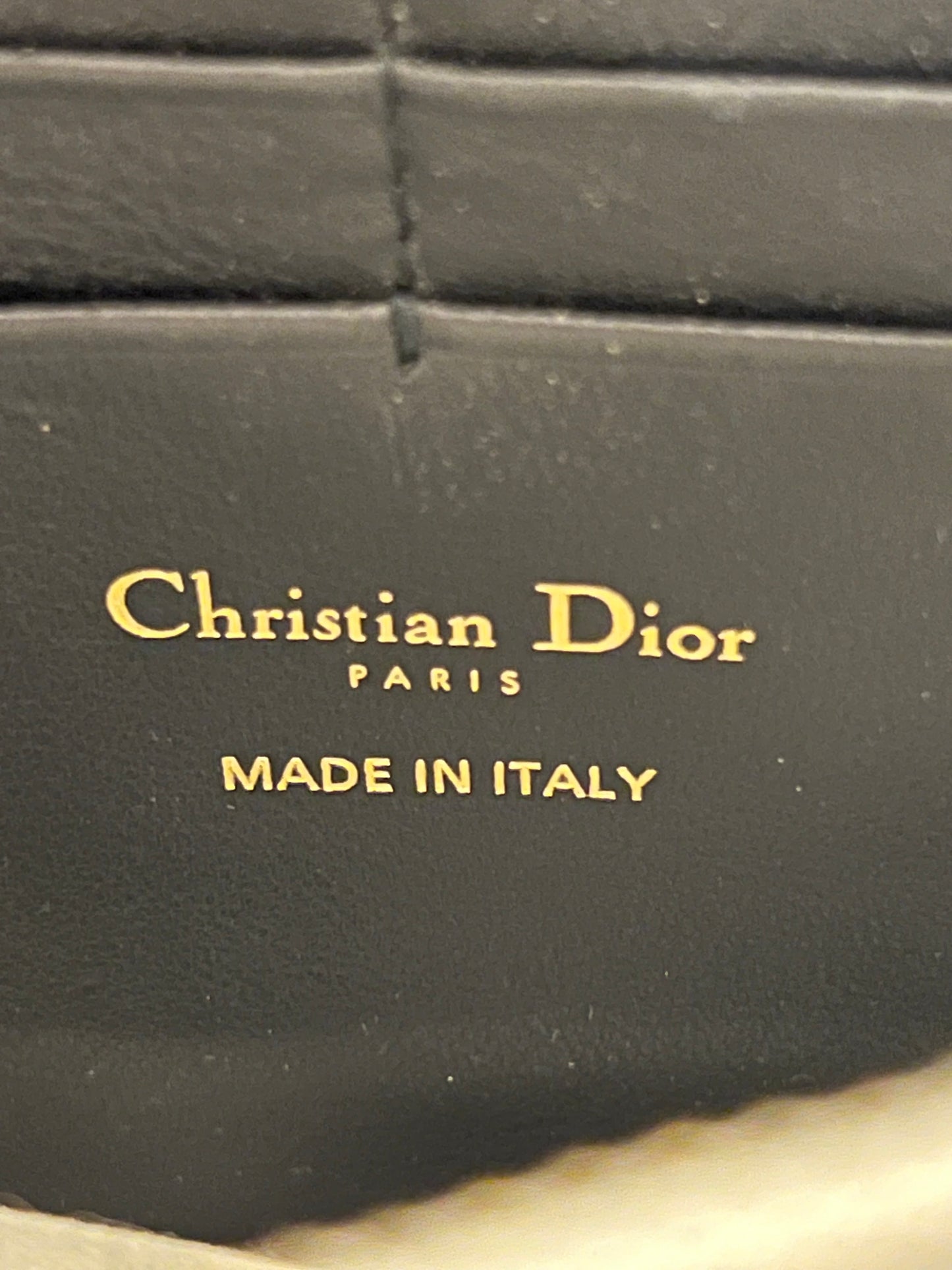 Dior Saddle borsa a spalla