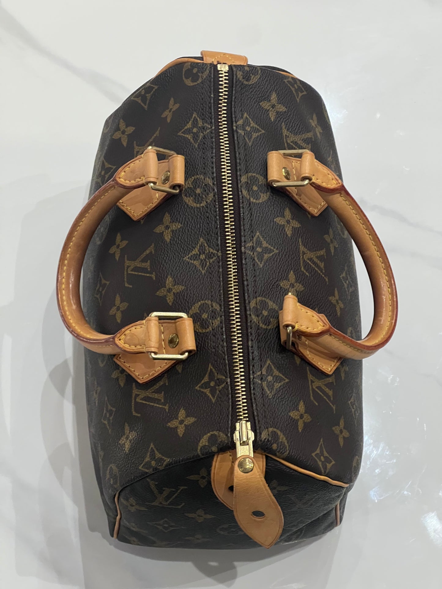 Louis Vuitton Speedy 25 bag