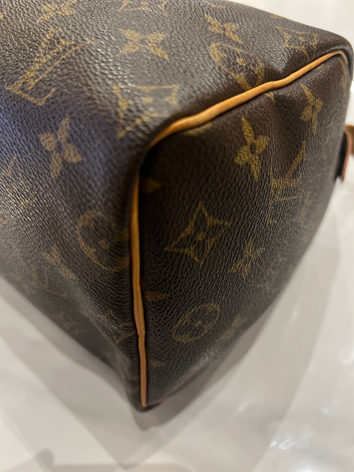 Louis Vuitton Speedy 25 bag