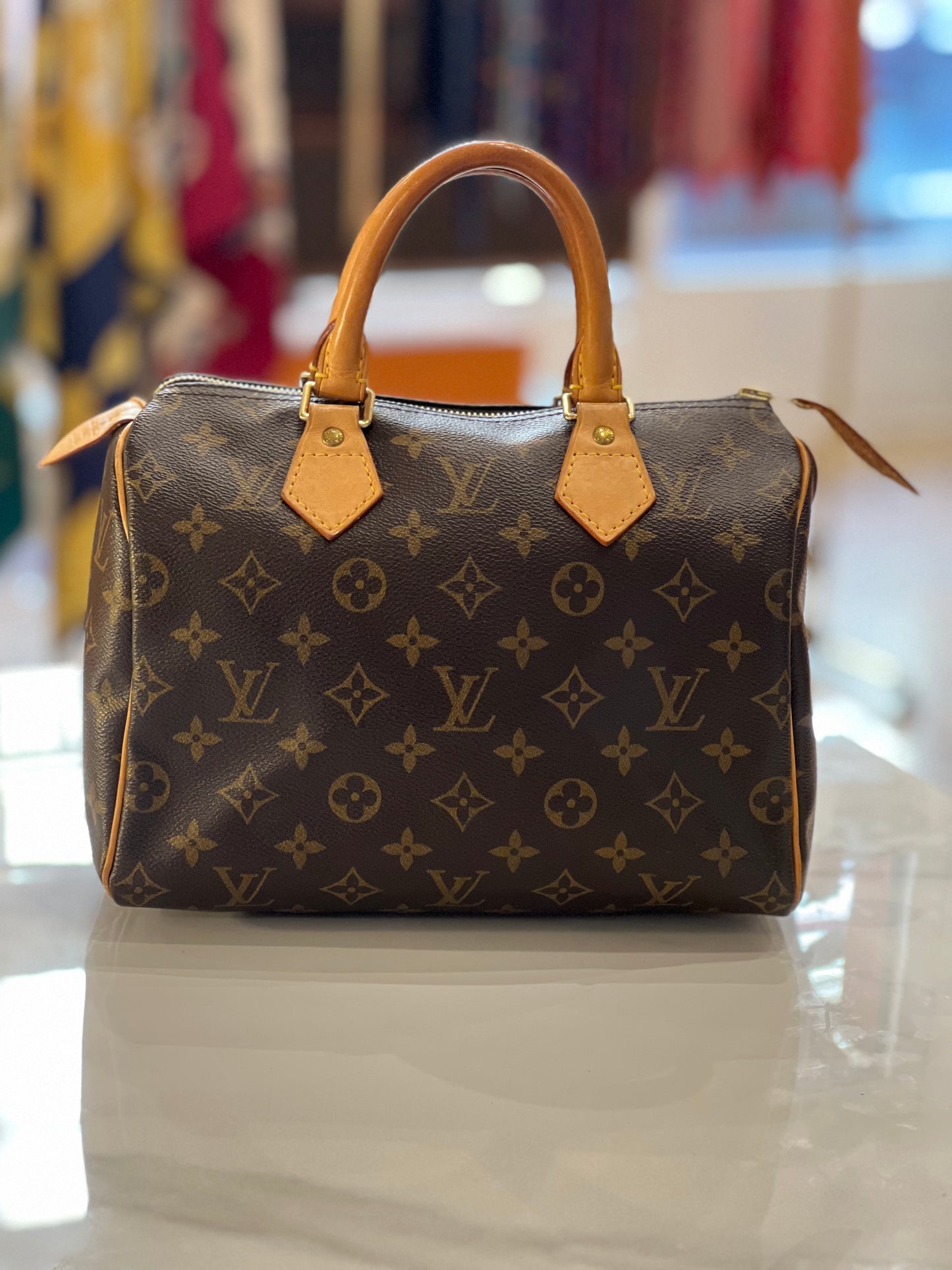 Borsa Louis Vuitton Speedy 25