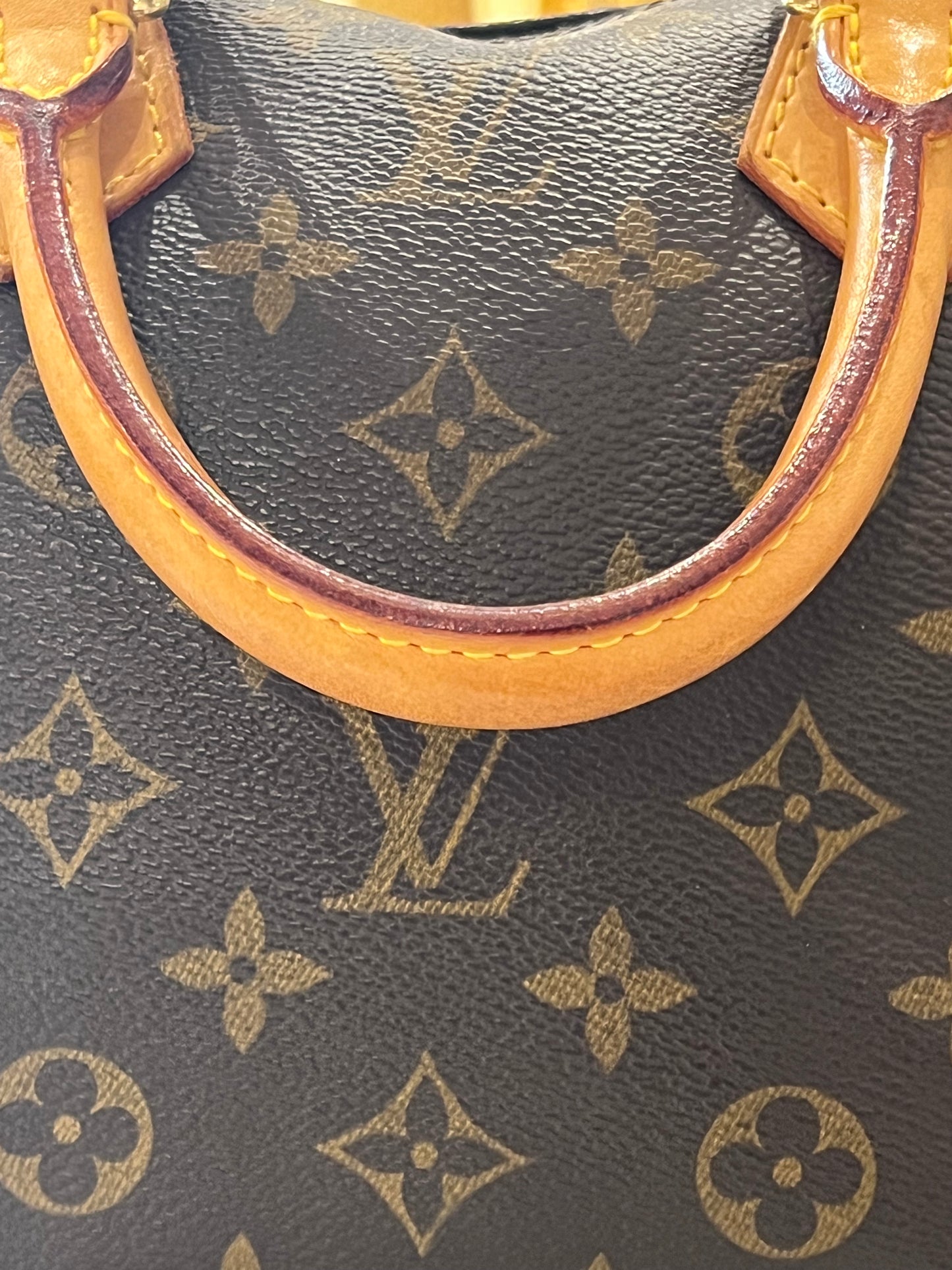 Borsa Louis Vuitton Speedy 25