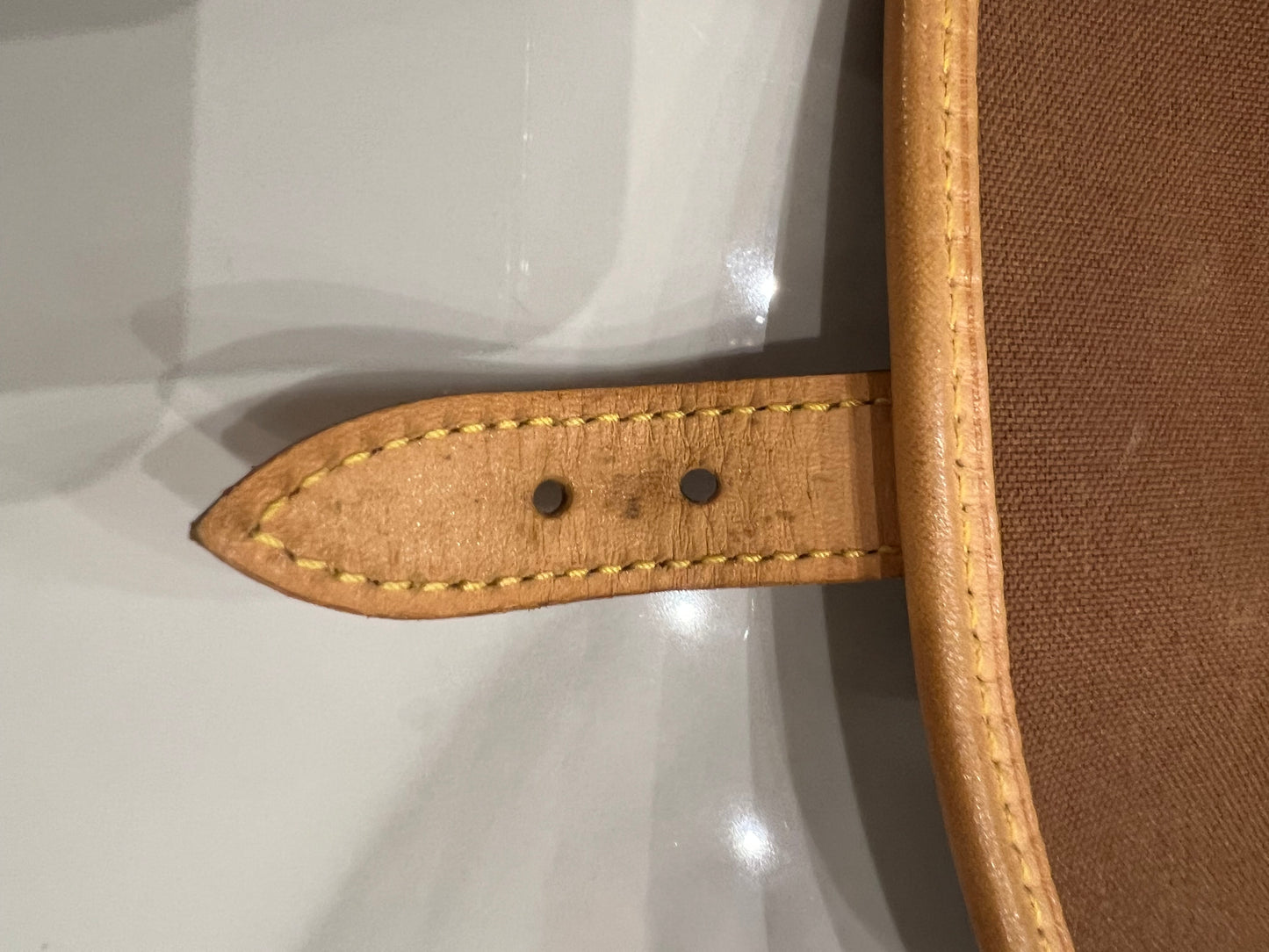 Louis Vuitton Sologne bag