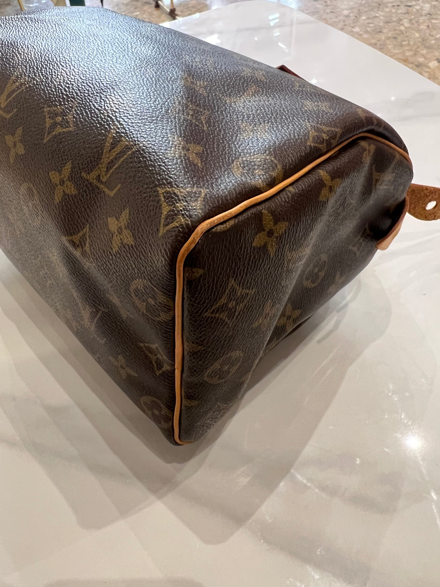 Borsa Louis Vuitton Speedy 25