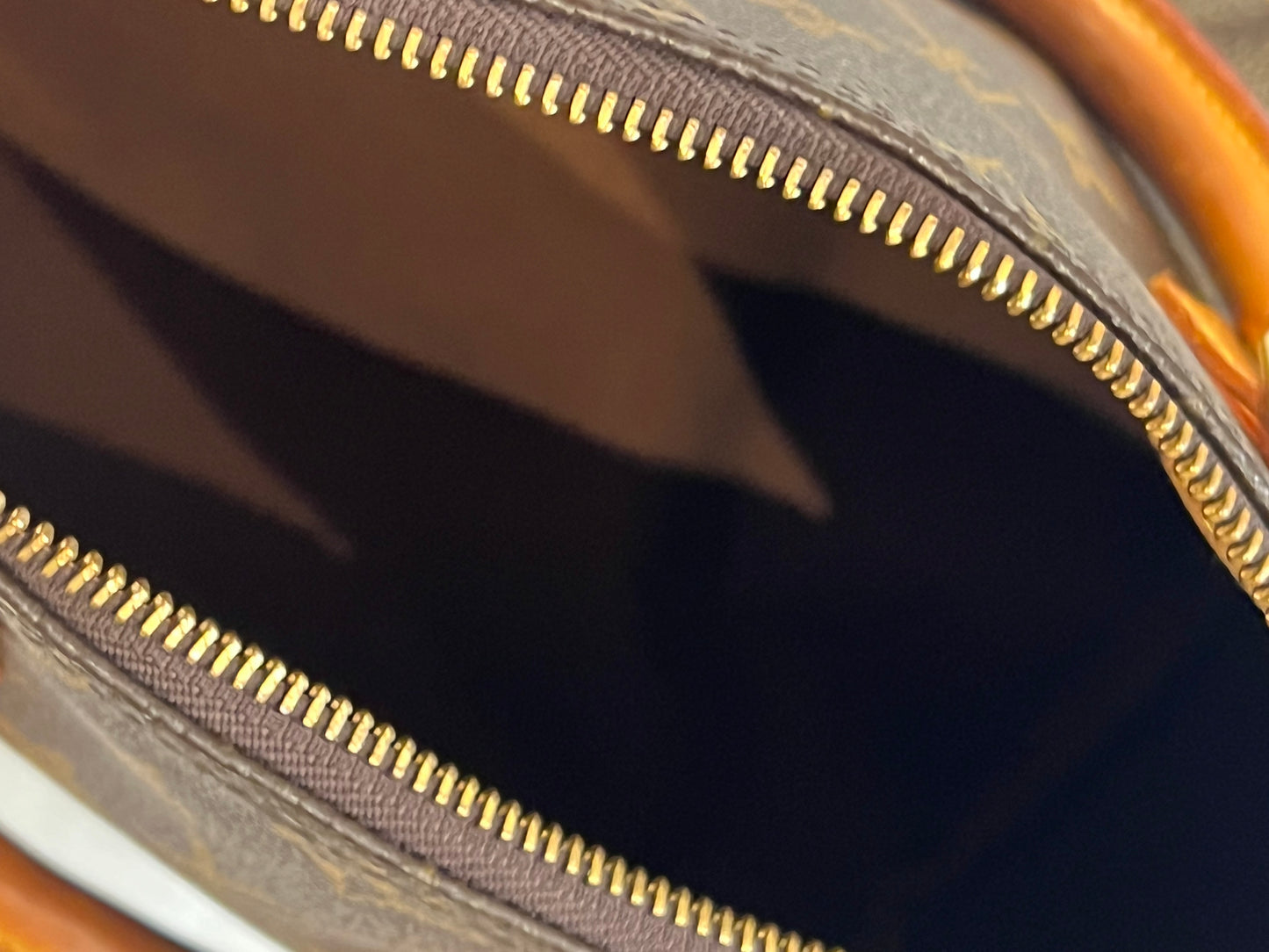 Borsa Louis Vuitton Speedy 25