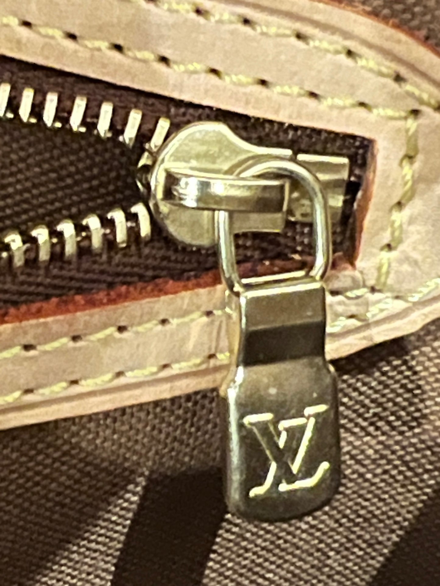 Louis Vuitton Sologne bag