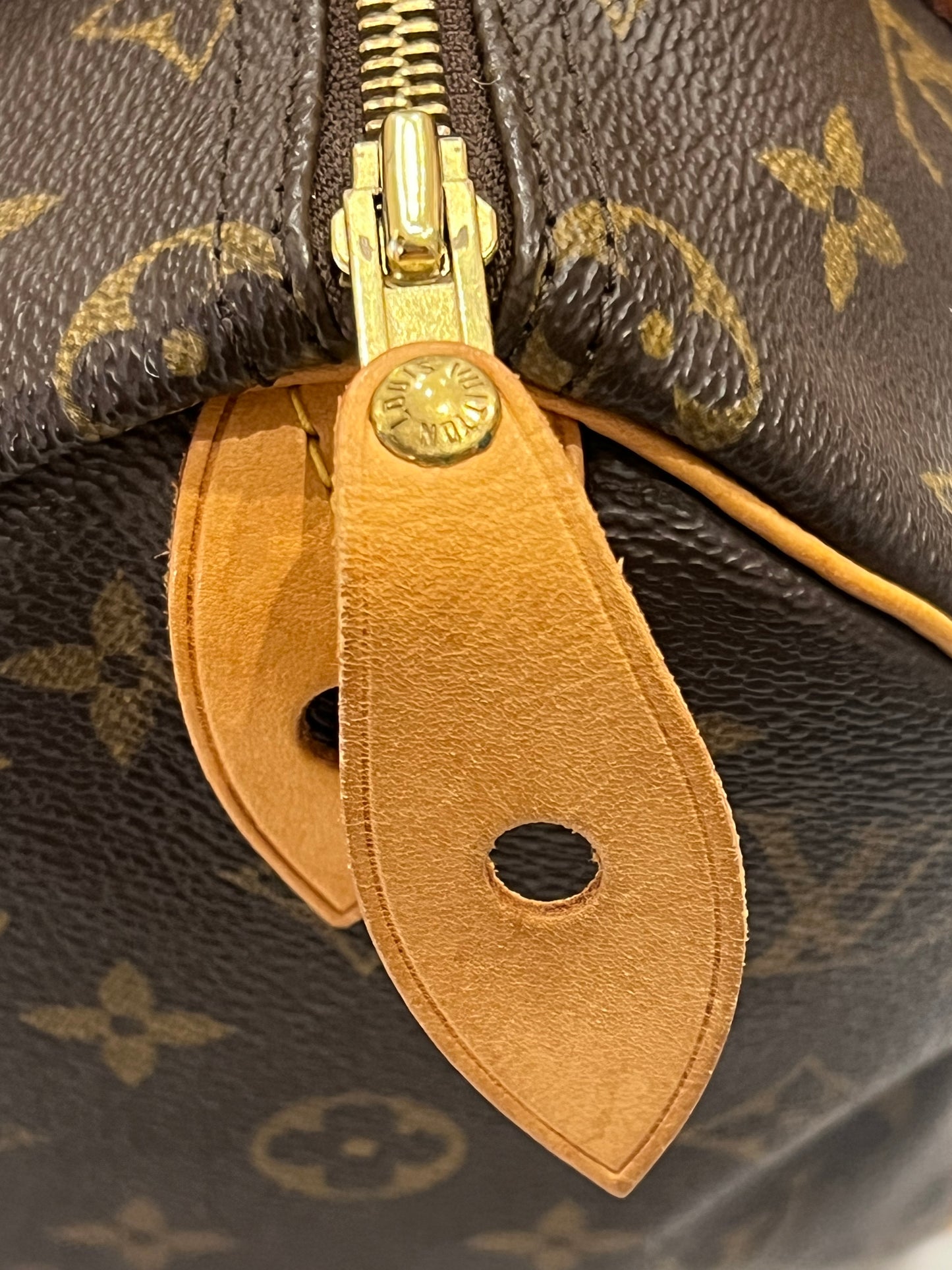 Louis Vuitton Speedy 25 bag