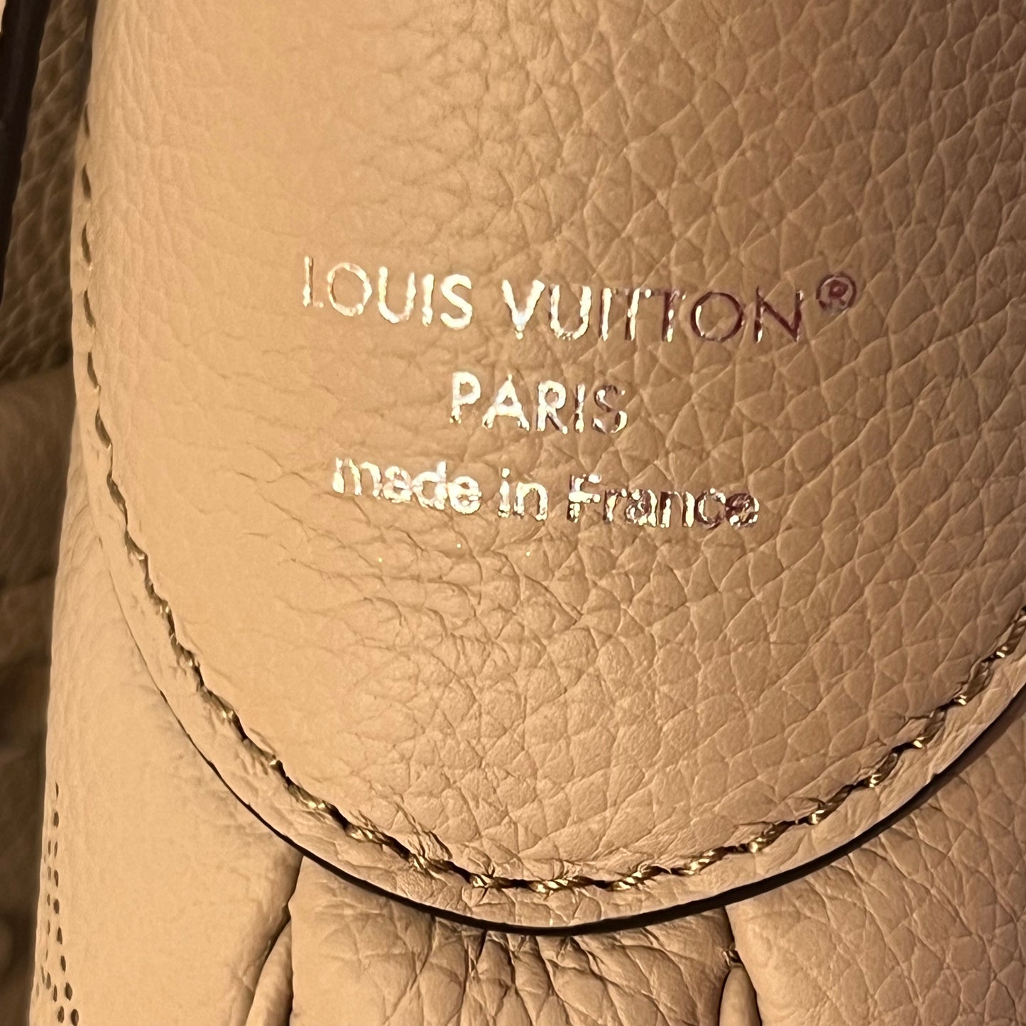 Louis Vuitton All Around Mahina MM bag